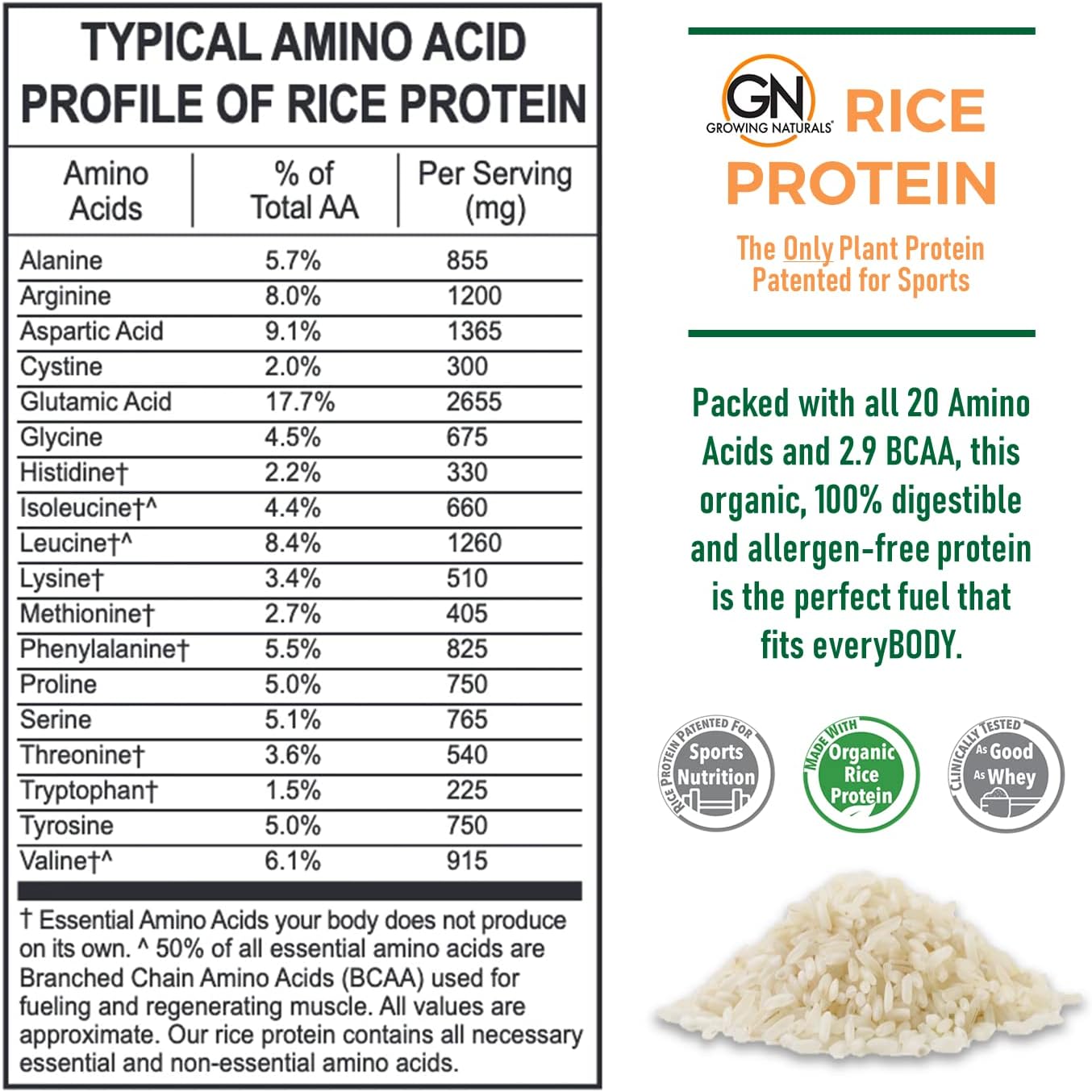 Organic Chocolate Rice Protein Powder - 16.8 oz, Non-GMO, Vegan Friendly