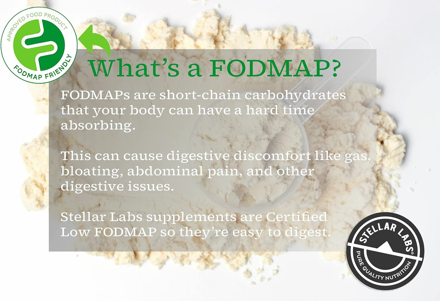 Organic Chocolate Whey Protein Powder with BCAA's & Whey Isolate | Low FODMAP, Non GMO, Gluten Free, Keto | Natural Post Workout Shakes