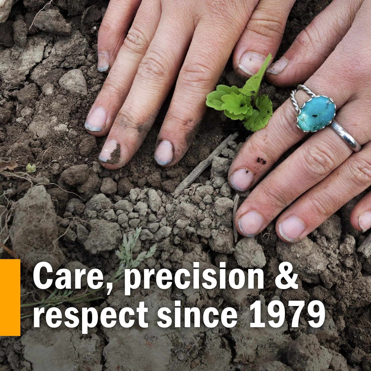 Organic Cilantro Extract for Detox Support - 2 Pack, 1 oz each by Herb Pharm