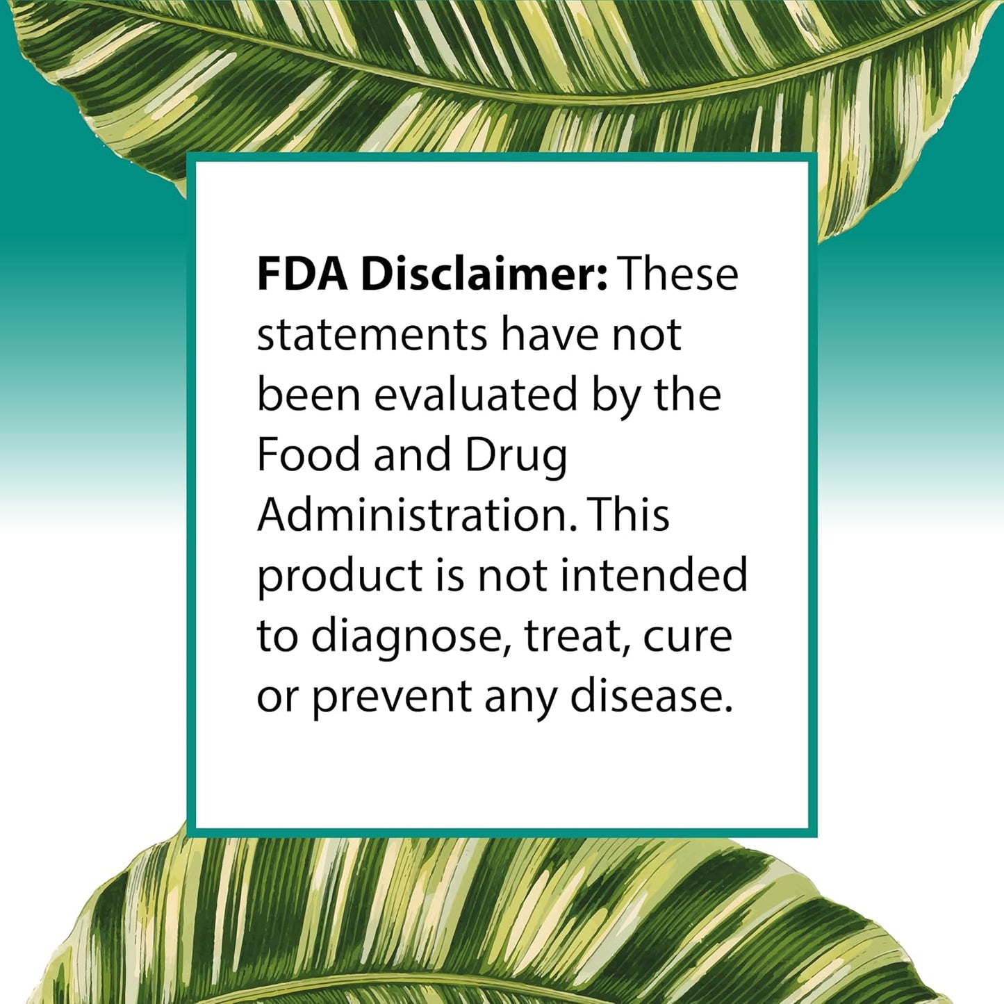 Organic Coconut Oil Supplements for Brain, Heart, and Memory Health - 60 Softgels, 2000mg - Made in USA