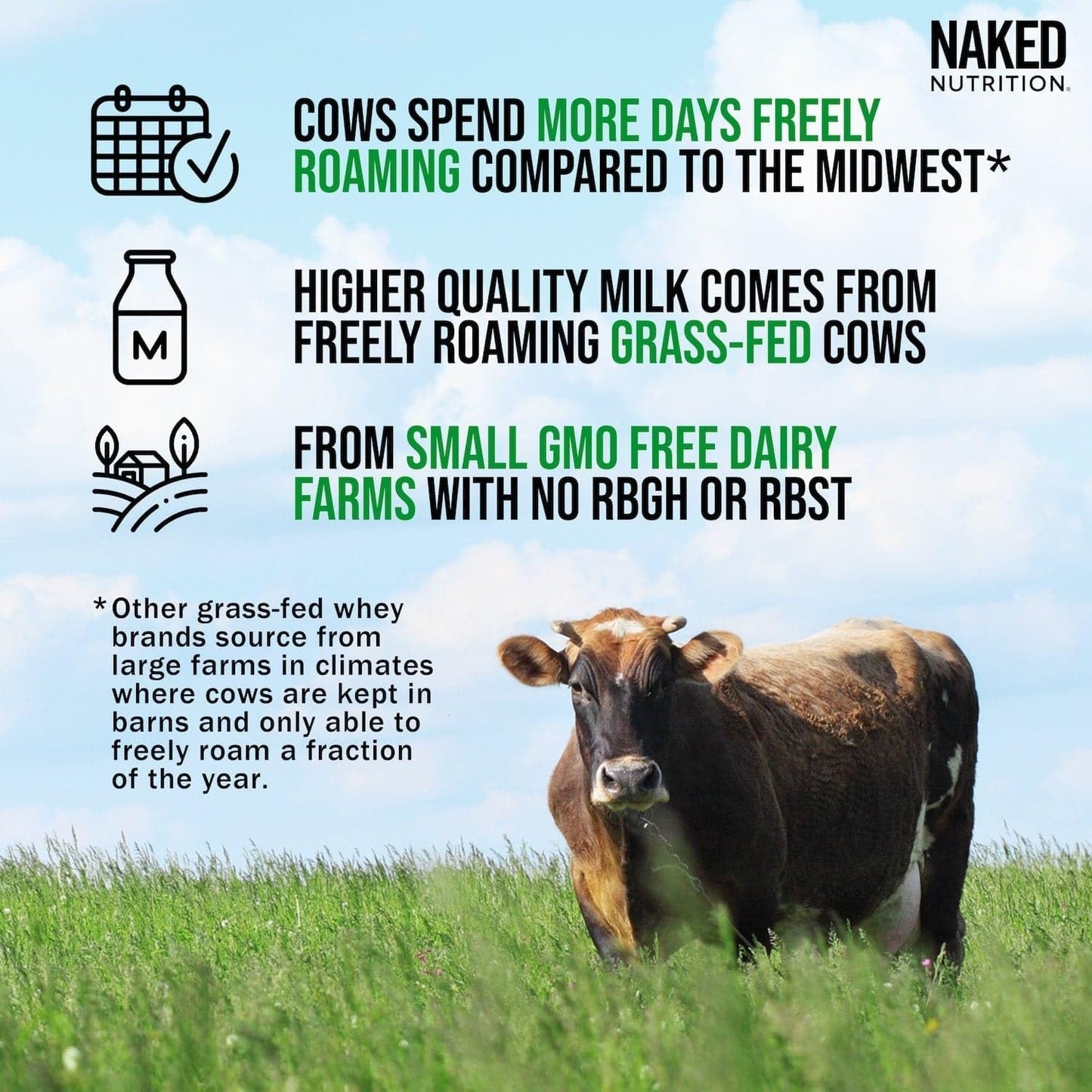 Organic Cookies and Cream Grass-Fed Whey Protein Powder - Non-GMO, Gluten-Free, 52 Servings