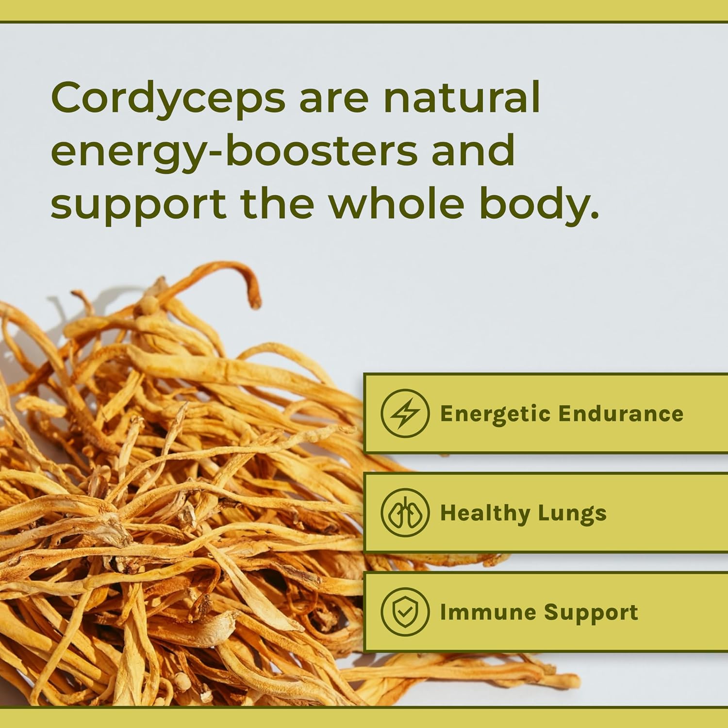 Organic Cordyceps Mushroom Capsules - Boost Energy, Stamina, Immunity - Vegan, Non-GMO - 30 Day Supply