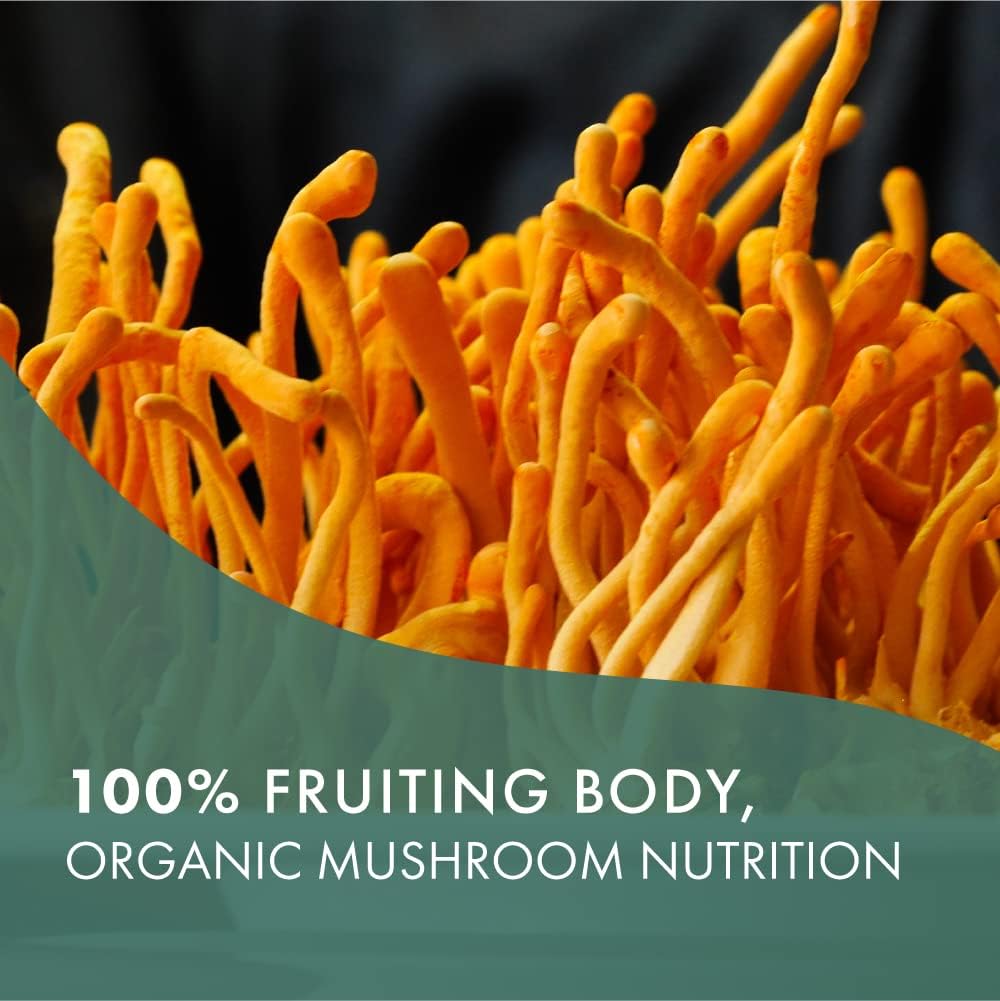 Organic Cordyceps Mushroom Supplement for Immune Support and Stress Relief - 100% Real Extract - Energy Booster for Adults - 60 Capsules