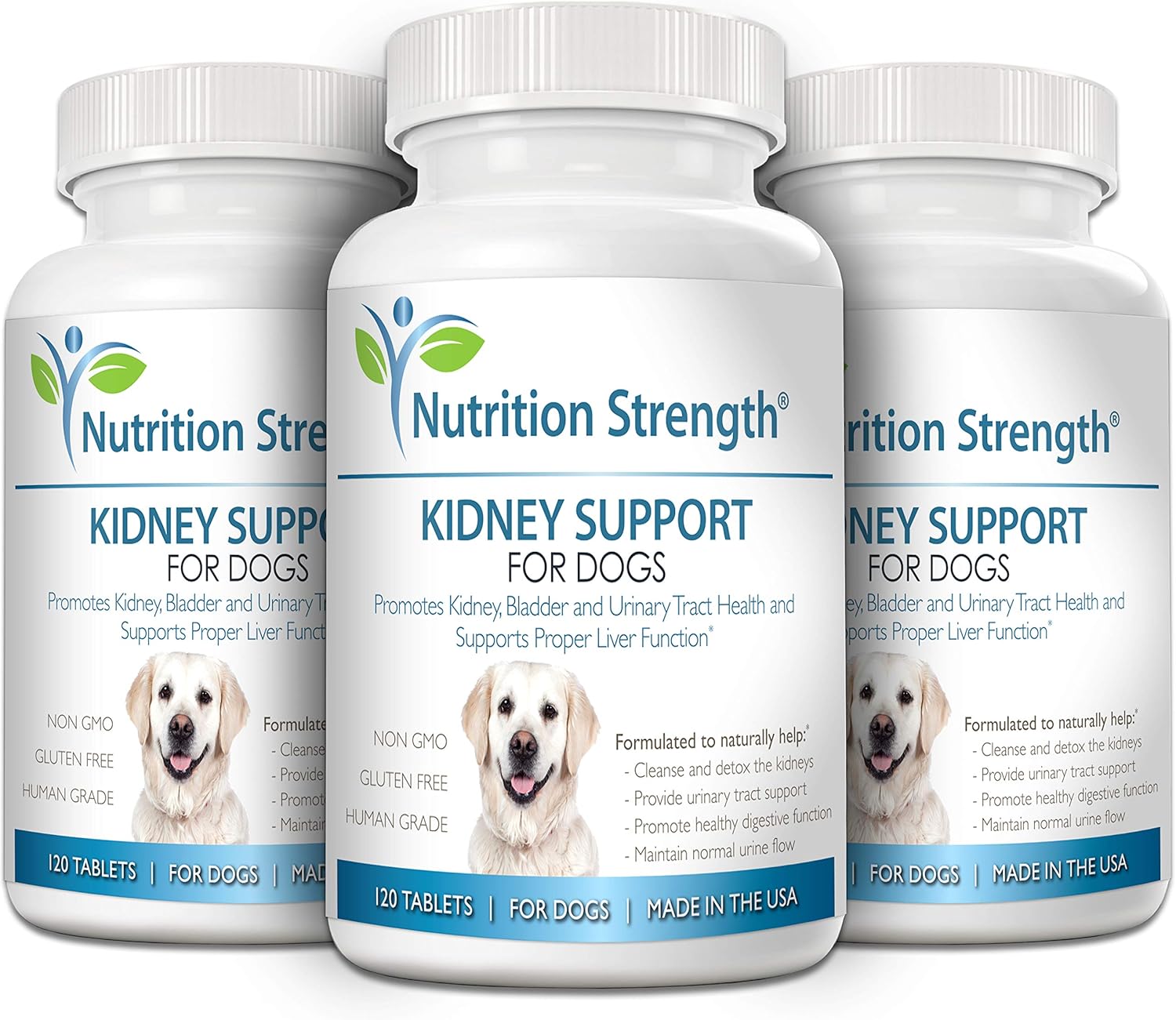 Organic Cranberry Kidney Support Chewable Tablets for Dogs with Immune and Digestive Health - 120 Count