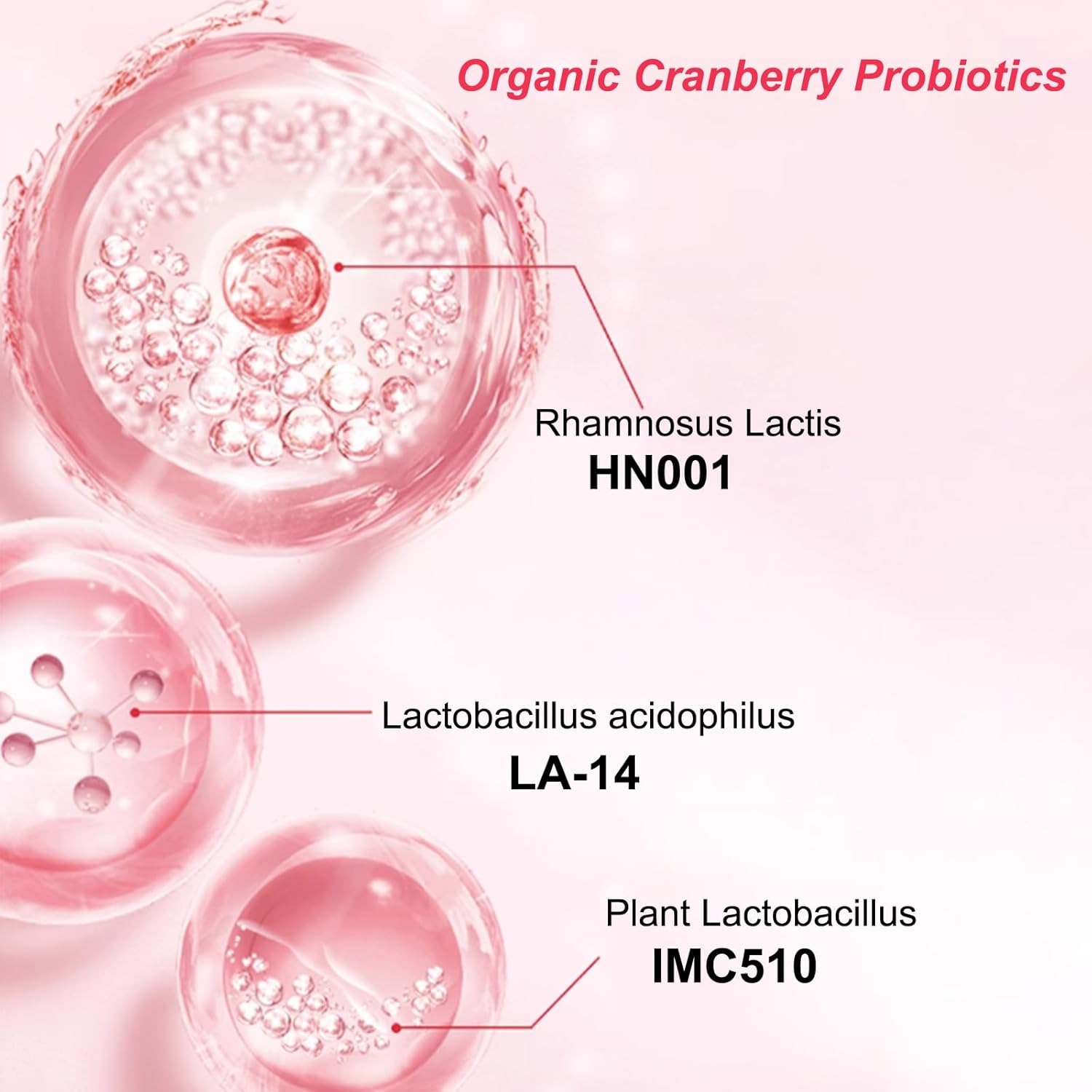 Organic Cranberry Probiotics for Women - 40 Billion CFU - 5 Unique Strains - PH Balance, Digestive & Feminine Health - Supports UT & Vaginal Health - 3 Packs