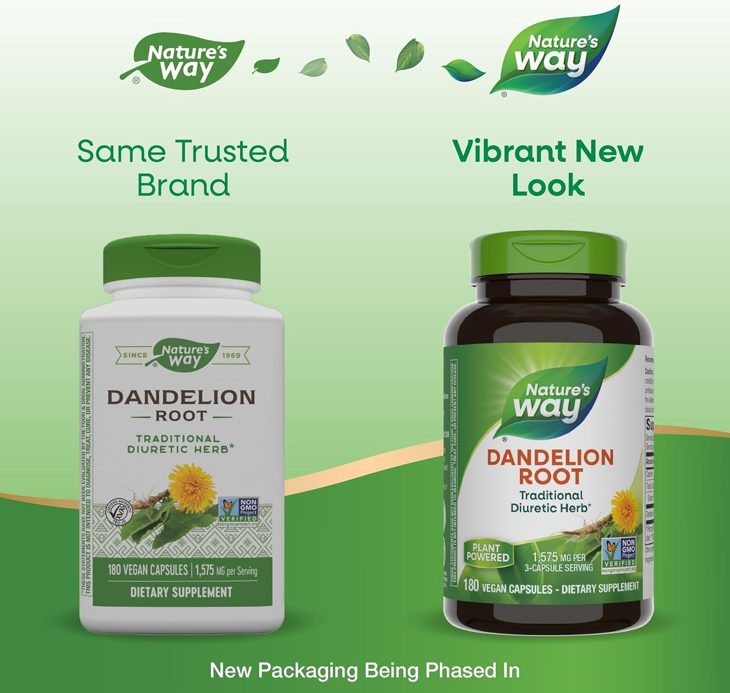 Organic Dandelion Root Capsules - Natural Diuretic and Digestive Aid - 180 Vegan Capsules