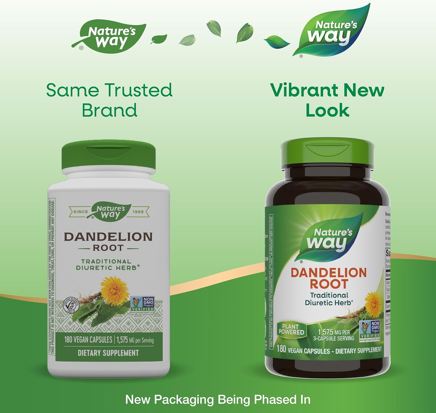 Organic Dandelion Root Capsules - Natural Diuretic and Digestive Aid - 180 Vegan Capsules