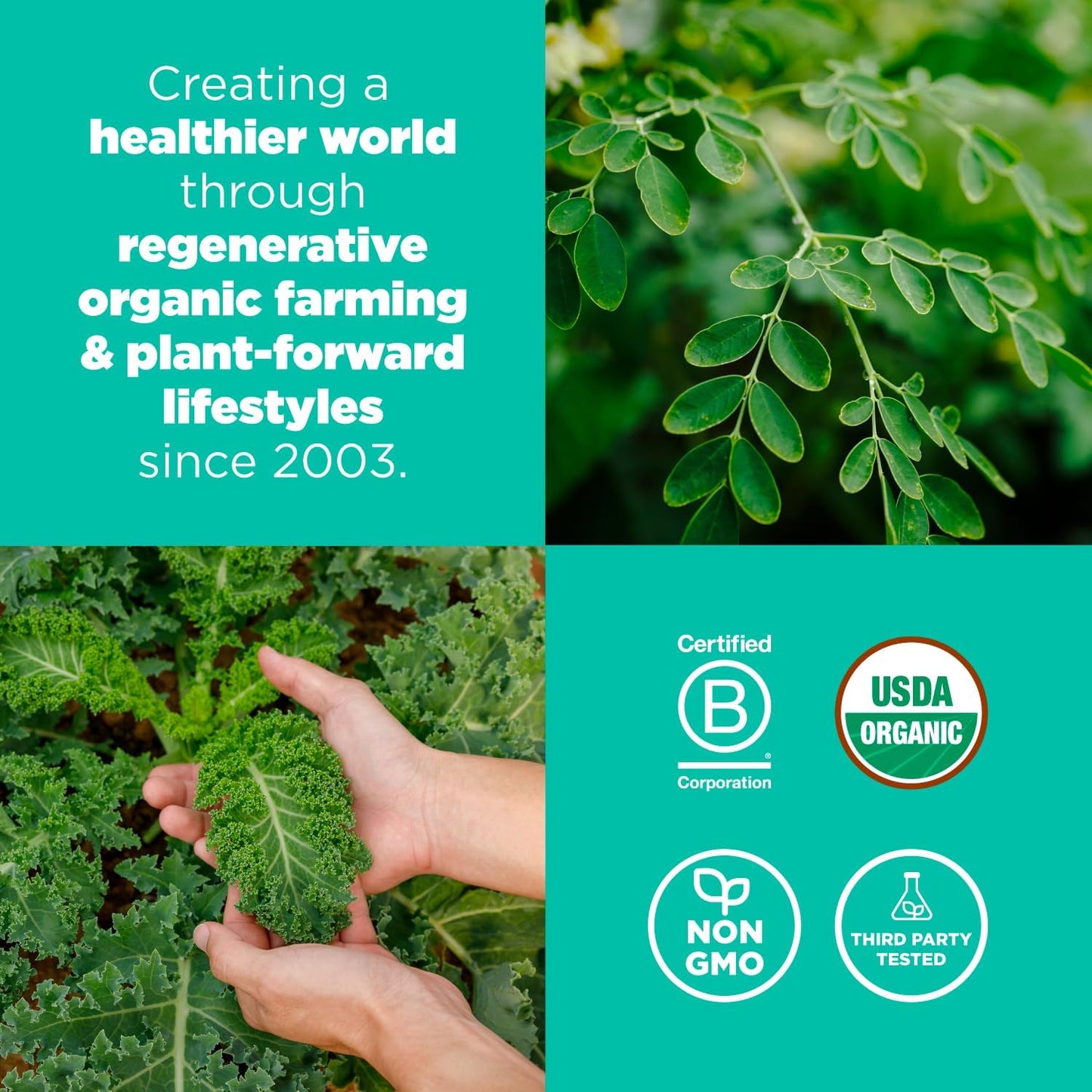 Organic Detox Support Superfood Greens Blend (Moringa, Kale, Wheatgrass) 6.3oz - 30 Servings, Non-GMO, Vegan, Gluten-Free, Keto, Paleo