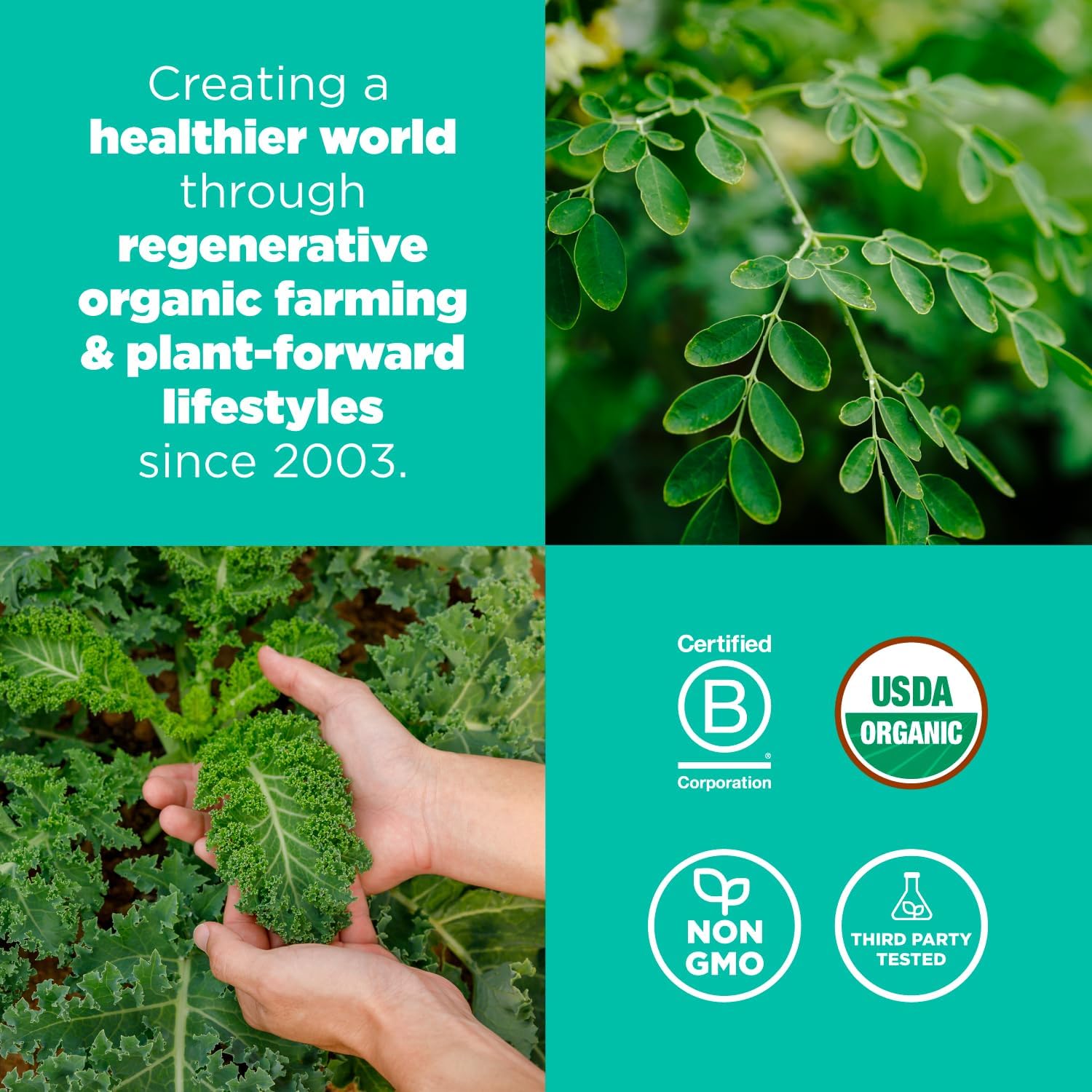 Organic Detox Support Superfood Greens Blend (Moringa, Kale, Wheatgrass) 6.3oz - 30 Servings, Non-GMO, Vegan, Gluten-Free, Keto, Paleo