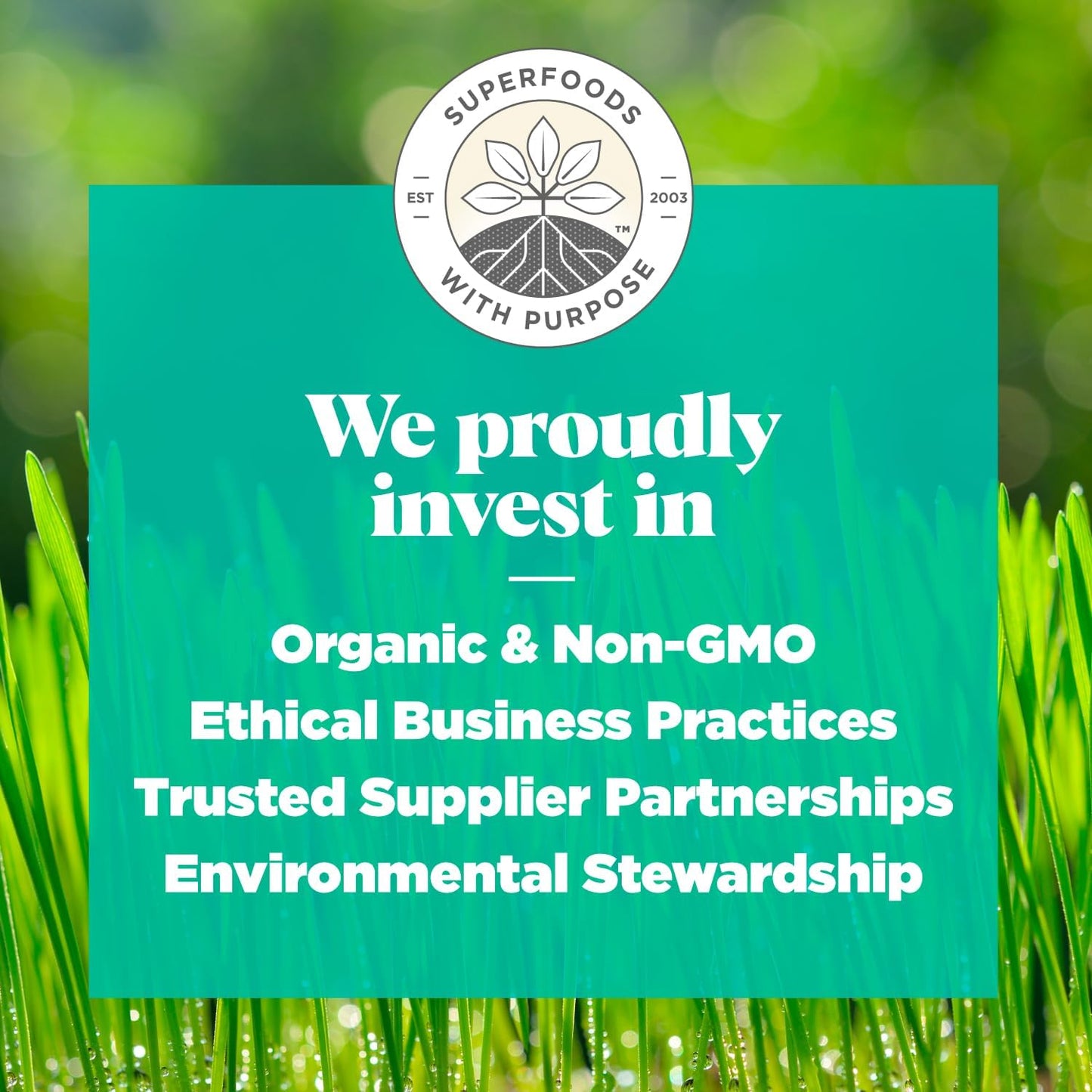 Organic Detox Support Superfood Greens Blend (Moringa, Kale, Wheatgrass) 6.3oz - 30 Servings, Non-GMO, Vegan, Gluten-Free, Keto, Paleo