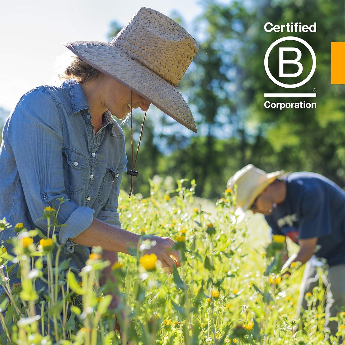 Organic Digestive Support & Detox Kit with Fennel and Dandelion Extracts - 1 Ounce Each