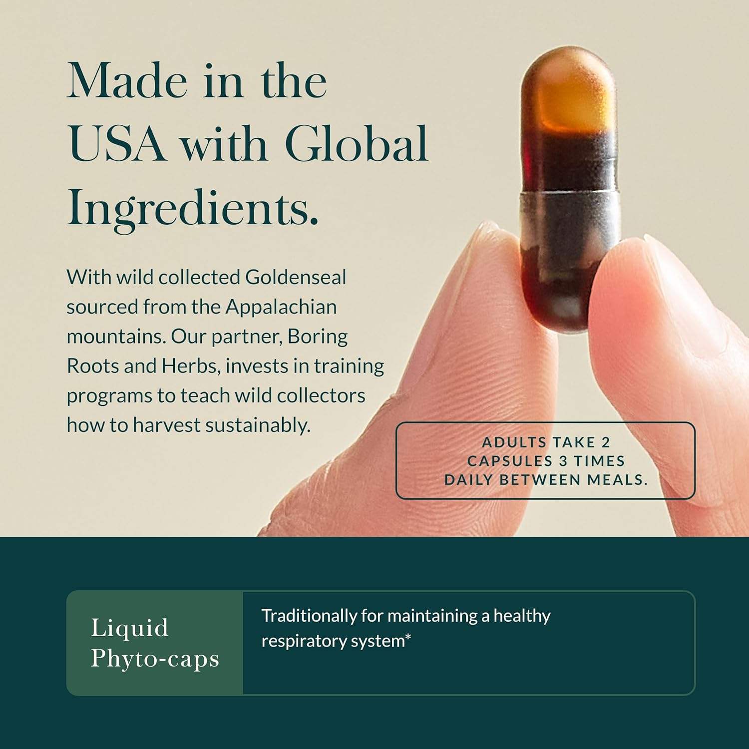 Organic Echinacea Goldenseal Supplement for Healthy Respiratory System - 60 Vegan Capsules