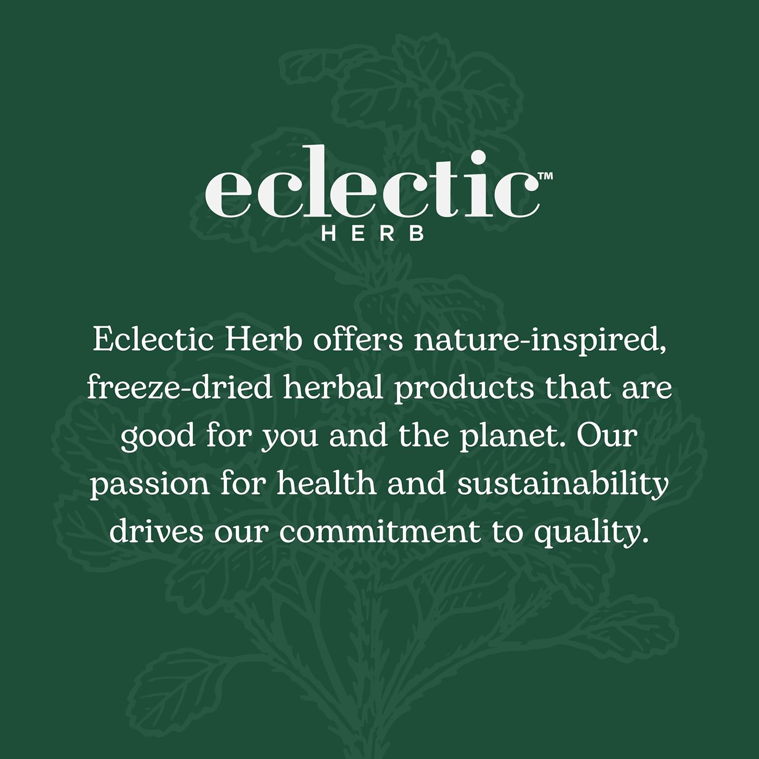 Organic Eclectic Herb Beet Juice Powder - 170g, Natural Energy Boost & Antioxidant Support
