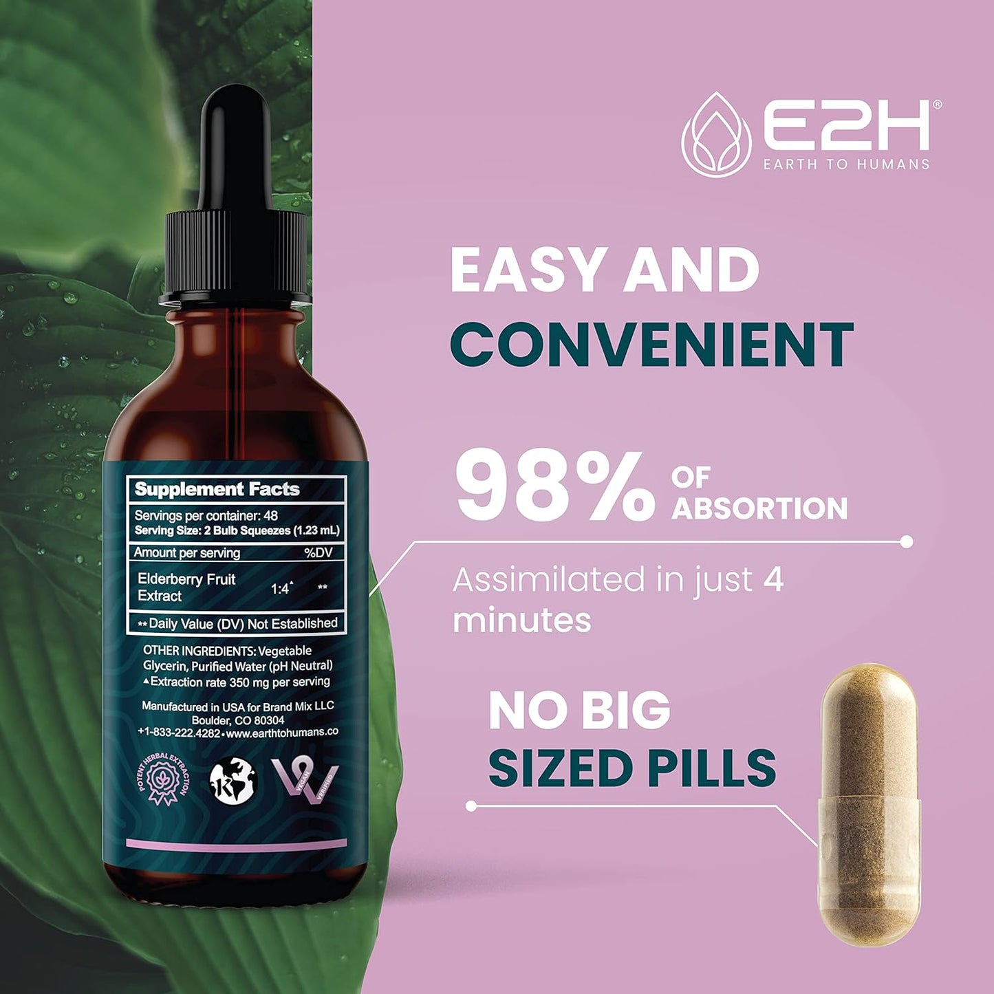 Organic Elderberry Syrup with Antioxidants for Immune Support - Non-GMO, Vegan (2 Bottles)