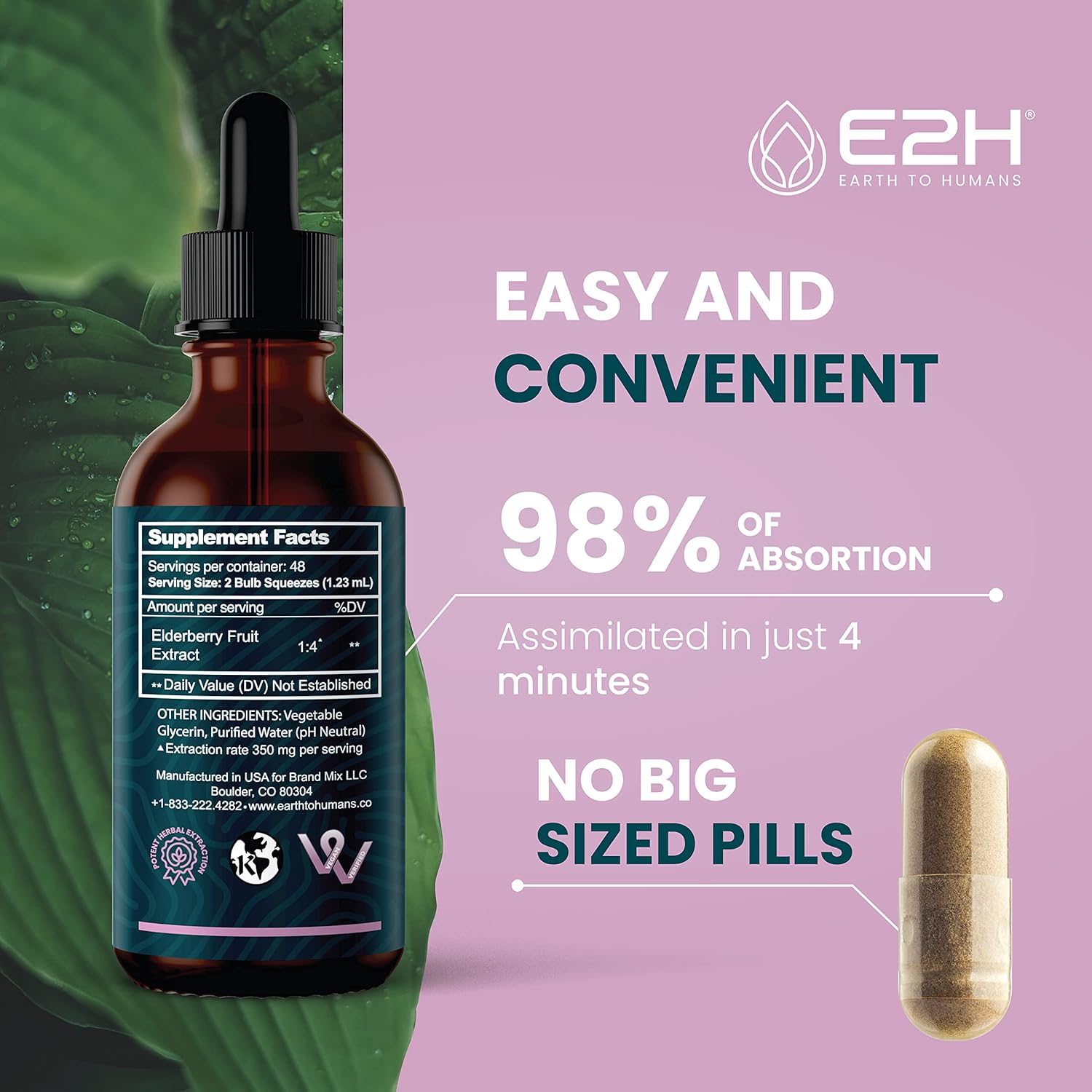 Organic Elderberry Syrup with Antioxidants for Immune Support - Non-GMO, Vegan (2 Bottles)