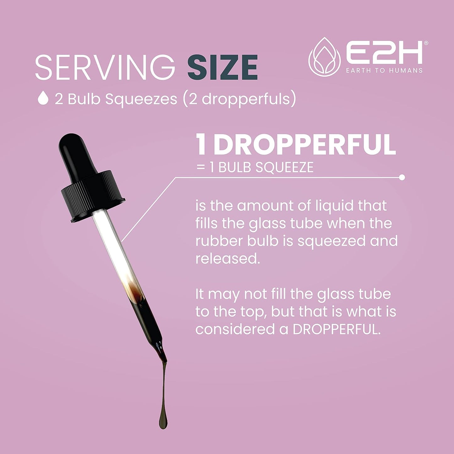 Organic Elderberry Syrup with Antioxidants for Immune Support - Non-GMO, Vegan (2 Bottles)