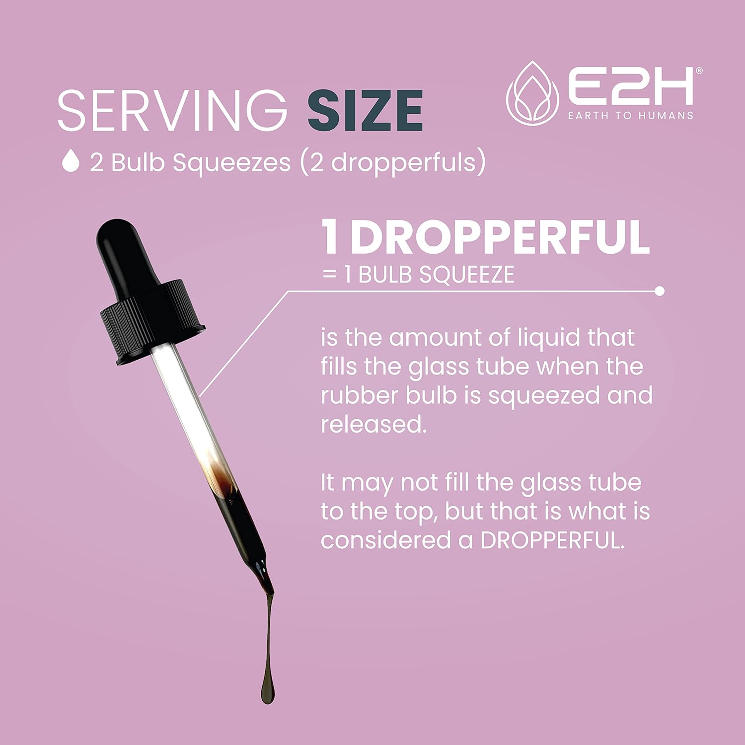 Organic Elderberry Syrup with Antioxidants for Immune Support - Non-GMO, Vegan (2 Bottles)