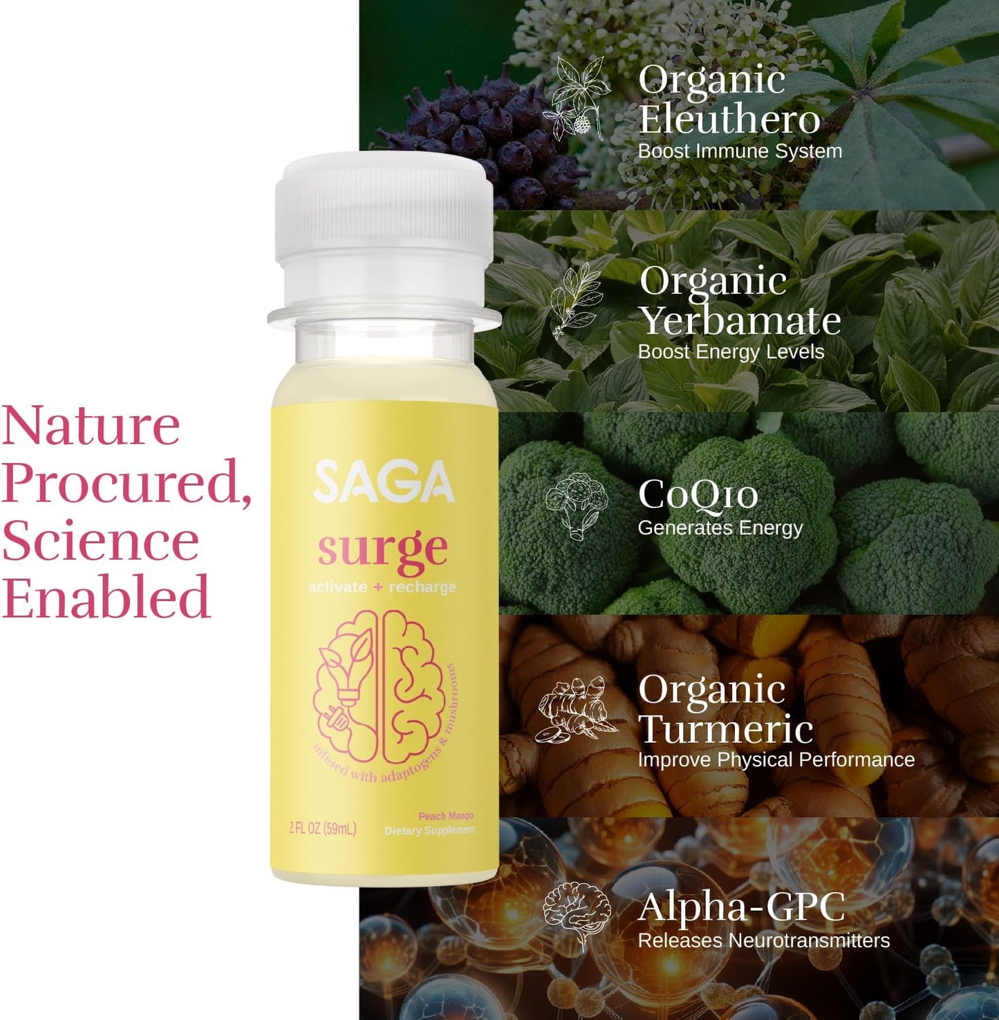 Organic Energy Shots with Nootropics, Mushrooms, CoQ10 & Ashwagandha | High Bioavailability, Fast Onset | Enhances Endurance & Performance | Peach Mango 2oz Shots (6-Pack)