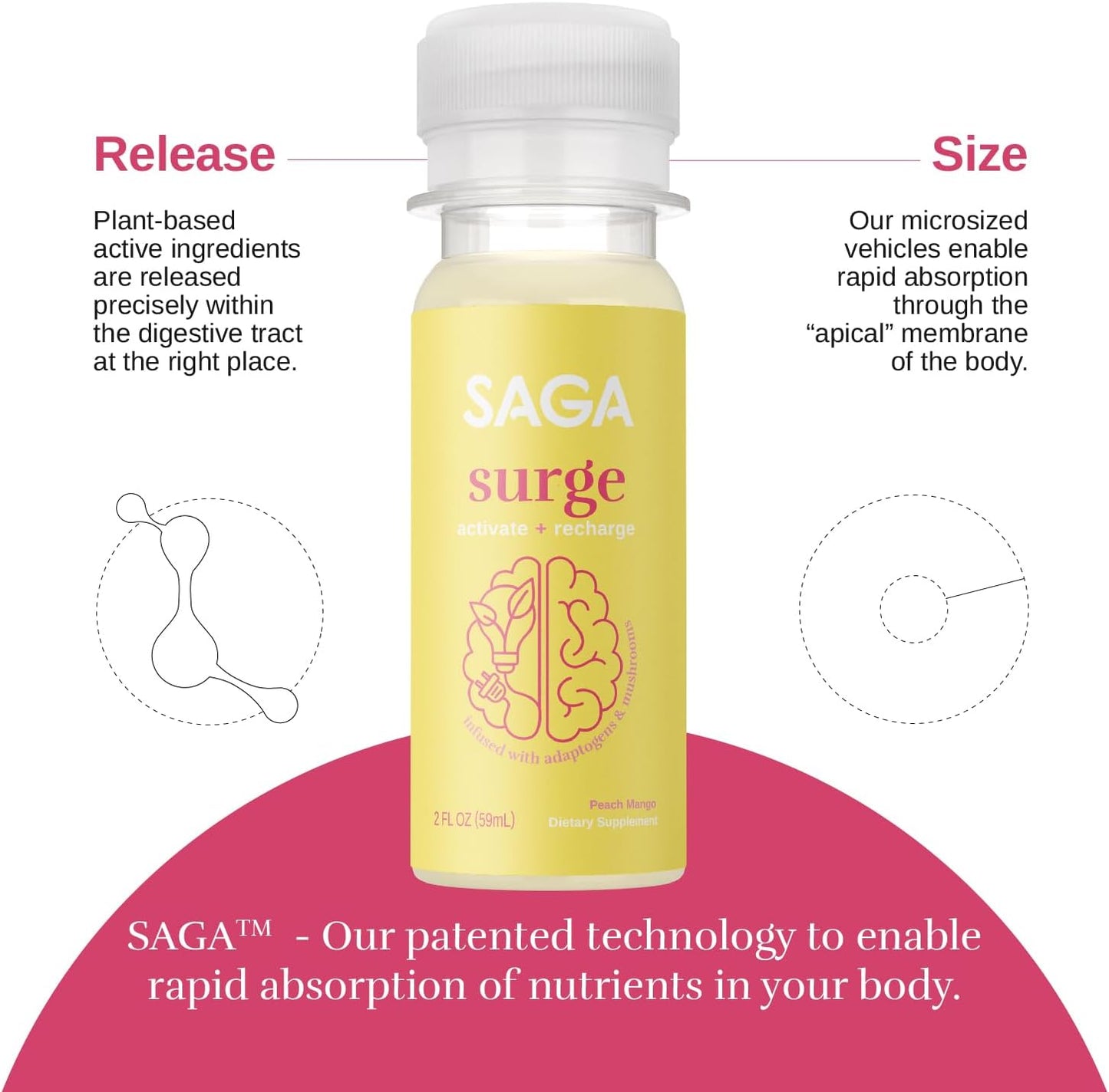 Organic Energy Shots with Nootropics, Mushrooms, CoQ10 & Ashwagandha | High Bioavailability, Fast Onset | Enhances Endurance & Performance | Peach Mango 2oz Shots (6-Pack)