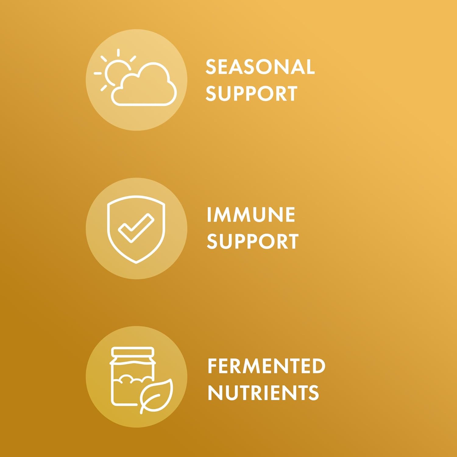 Organic Fermented Beta Glucans by Dr. Mercola - 30 Servings (60 Capsules) for Immune Support, Non-GMO Dietary Supplement