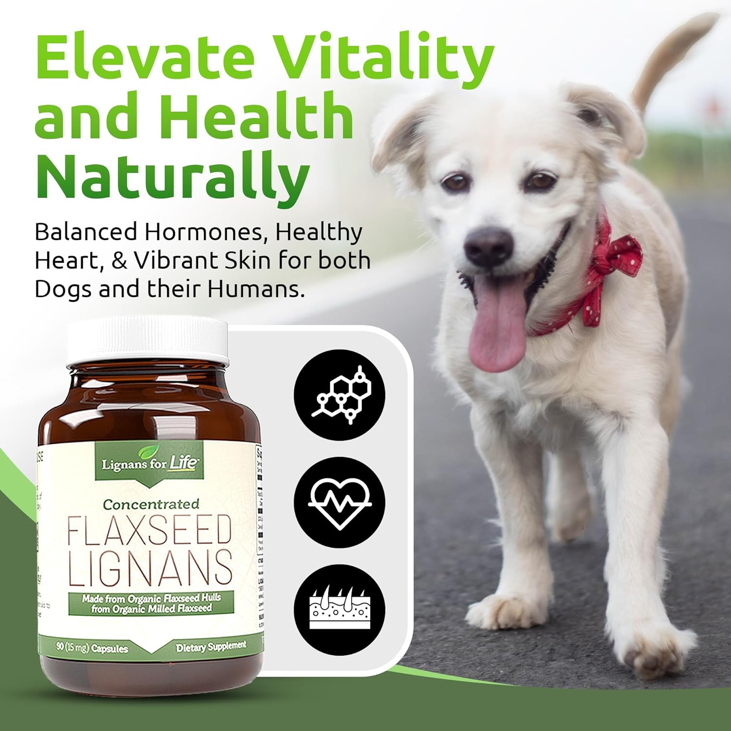 Organic Flaxseed Lignans Capsules for Dogs & Women - 15mg Supplement for Hormone Support, High-Fiber Formula
