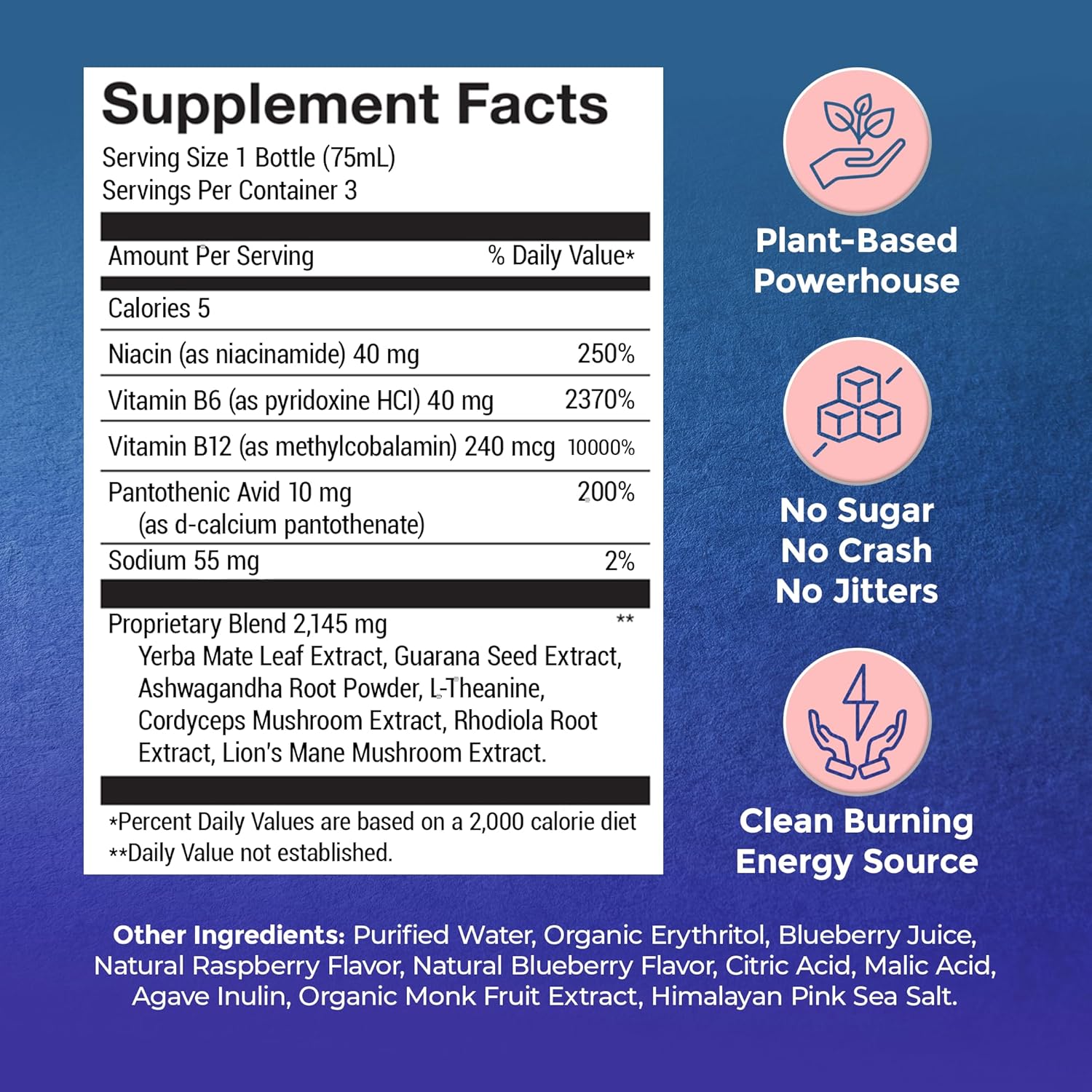 Organic Focus Energy Shot with Ashwagandha & Vitamin B12 - Stress Relief, No Crash, Blue Raspberry Flavor - 3 Pack