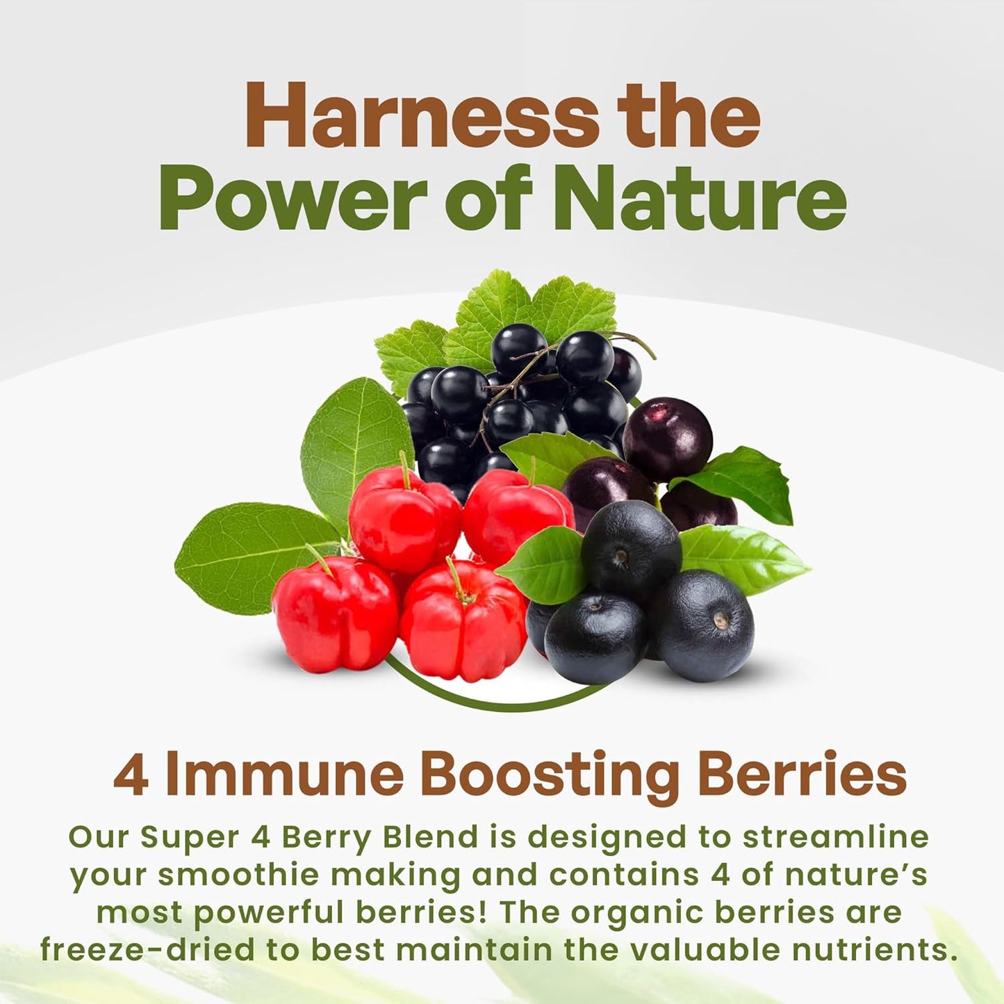 Organic Freeze Dried Acai Berry Blend with 4 Immune Boosting Berries - Superfood Smoothie Mix | Antioxidant Freeze Dried Berries - 15 Servings 8oz