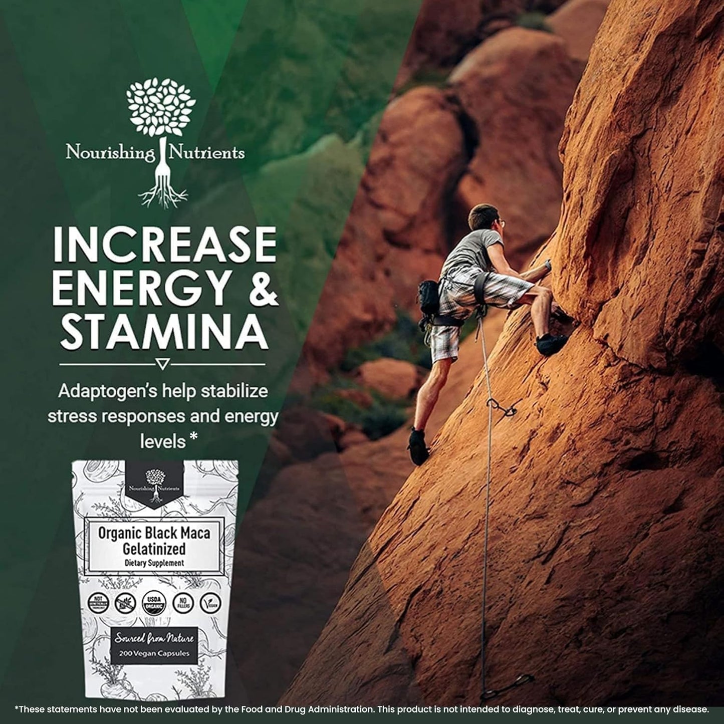 Organic Gelatinized Black Maca Root Capsules - 200 Capsules for Men & Women - Natural Energy & Stamina Supplement - Black Maca Root Powder for Focus & Endurance