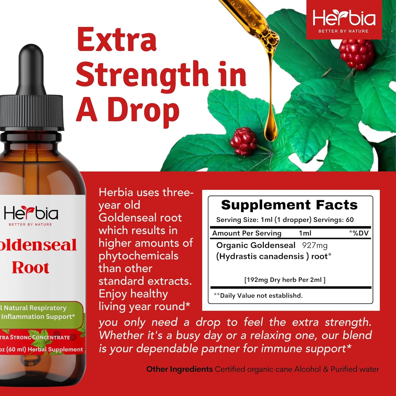 Organic Goldenseal Root Extract for Immunity Boost - Liquid Alcohol Extract with Antioxidants - 60 Servings, 2 oz