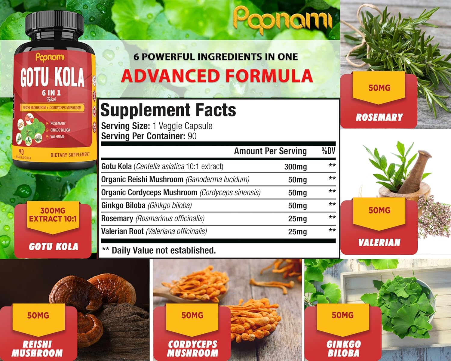 Organic Gotu Kola Extract Capsules with Reishi, Cordyceps, Rosemary, Gingko Biloba & Valerian Root - 90 Count - Brain, Immunity, Skin & Heart Health Support for 3 Months