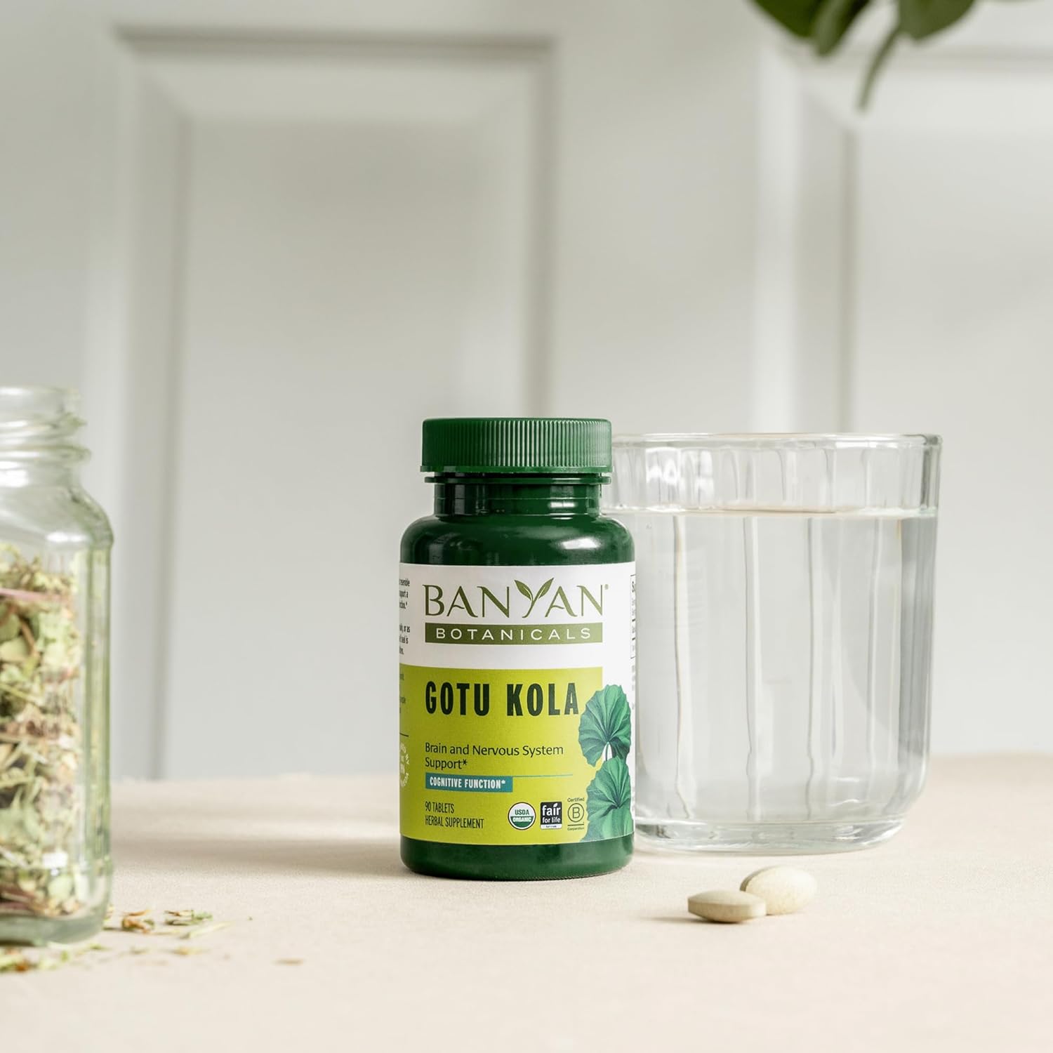 Organic Gotu Kola Tablets for Memory & Concentration - Vegan Nootropic Brain Support Supplement - 90 ct - Fair Trade & Sustainably Sourced