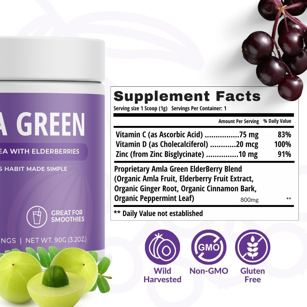 Organic Green Amla Powder Supplement with Green Tea, Pumpkin Spice, Hibiscus, Elderberry - Vegan Superfood with 30 Servings