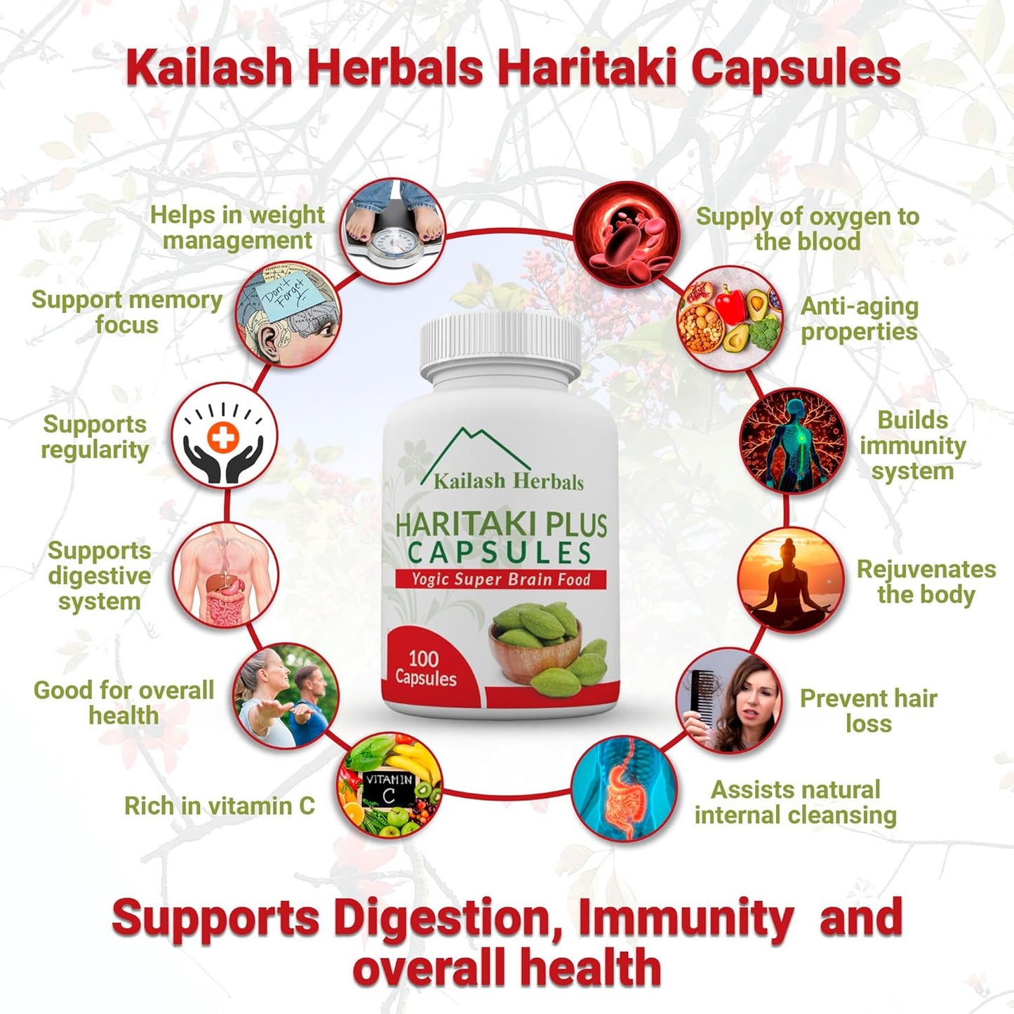 Organic Haritaki Capsules 2420MG for Improved Digestion, Detox & Brain Function - 100 Capsules Terminalia chebula | Vegan, Non-GMO
