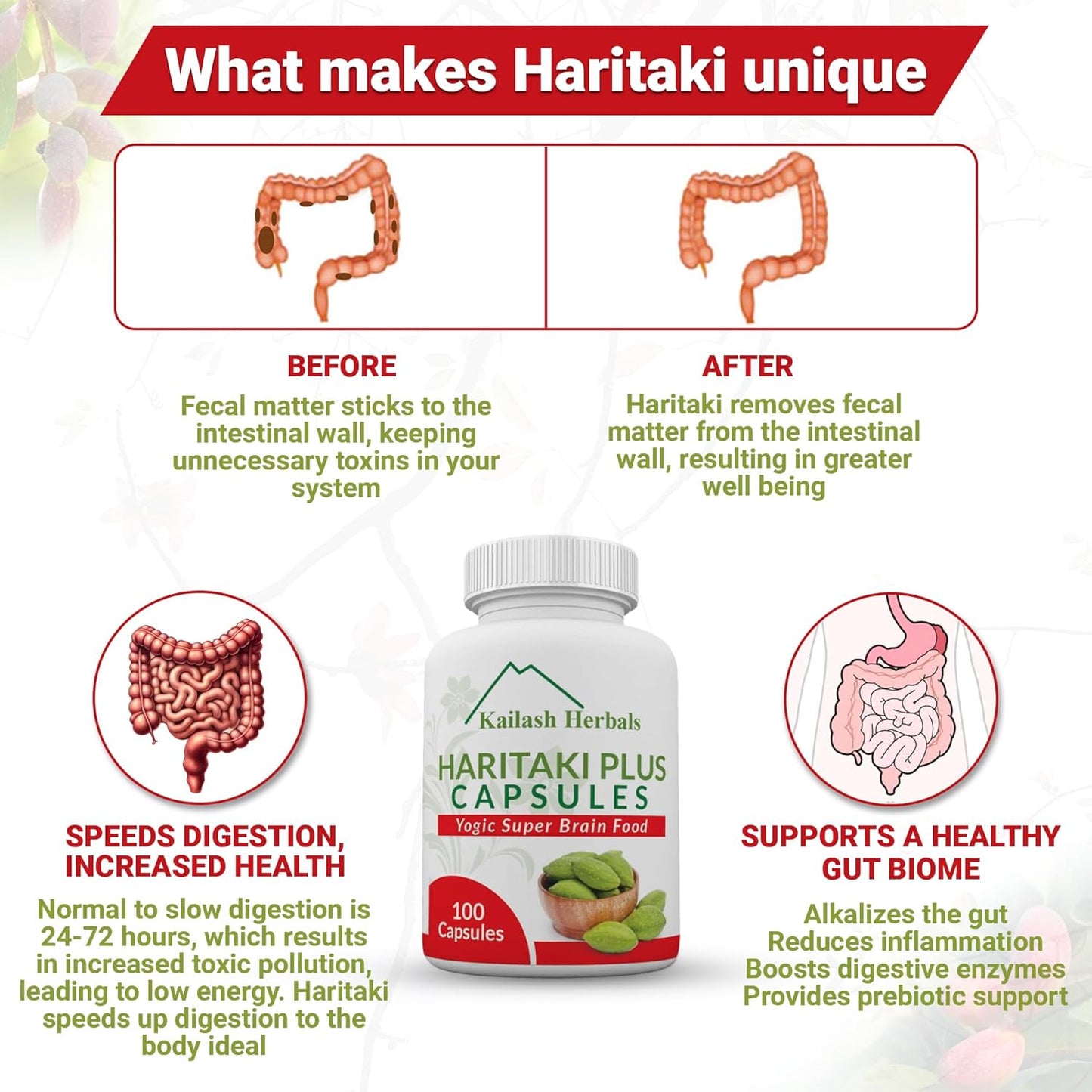 Organic Haritaki Capsules 2420MG for Improved Digestion, Detox & Brain Function - 100 Capsules Terminalia chebula | Vegan, Non-GMO