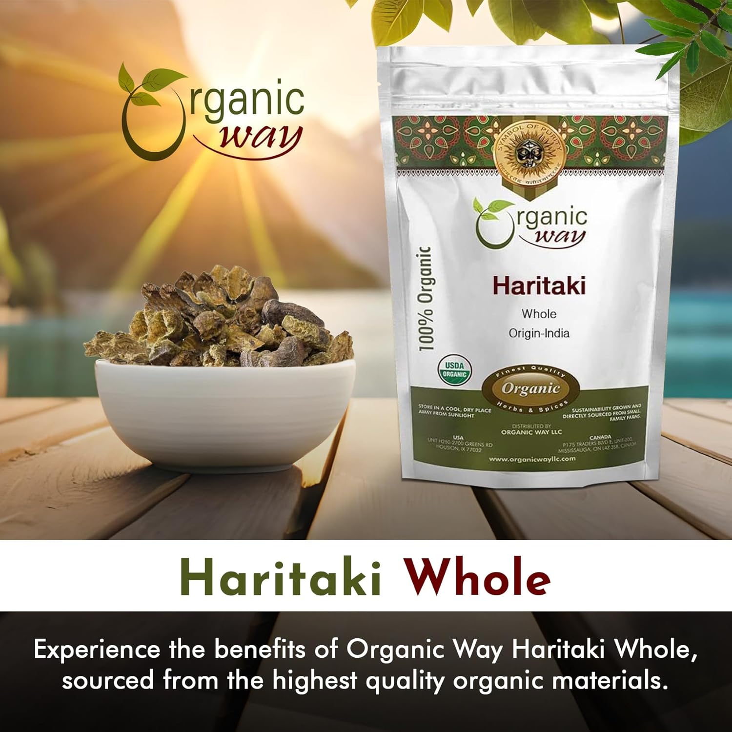 Organic Haritaki Whole (Chebulic Myrobalan) - 100% Raw from India | USDA & Kosher Certified | Vegan, Non-GMO, Gluten Free | 4 oz Pack