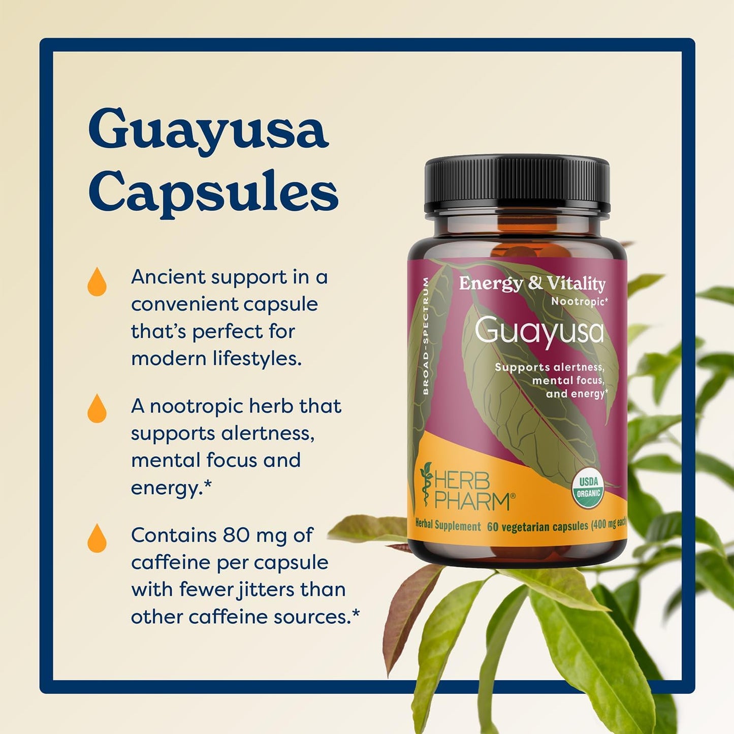 Organic Herb Pharm Guayusa Extract Capsules: Vegan Nootropic Brain Supplement for Energy & Focus, Antioxidant Support, Fast-Absorbing, 60 Ct - 30 Day Supply