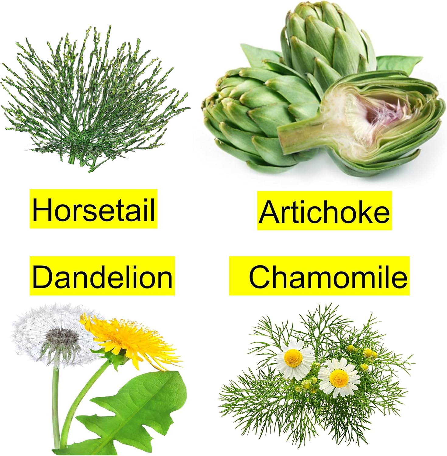 Organic Herbal Liver Cleanse Drops for Detox & Fatty Liver Support with Artichoke, Dandelion, Chamomile, and Horsetail Concentrate