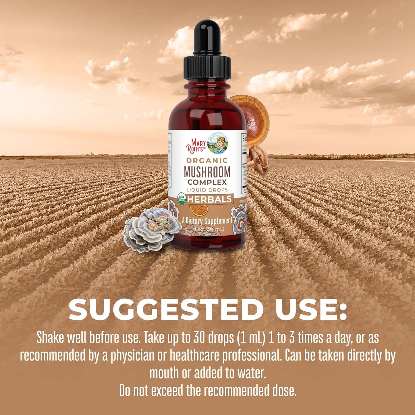 Organic Herbal Mushroom Complex Liquid Drops Supplement - Lion's Mane, Reishi, Shiitake - Non-GMO, Vegan, Alcohol-Free Tincture - 30 Servings