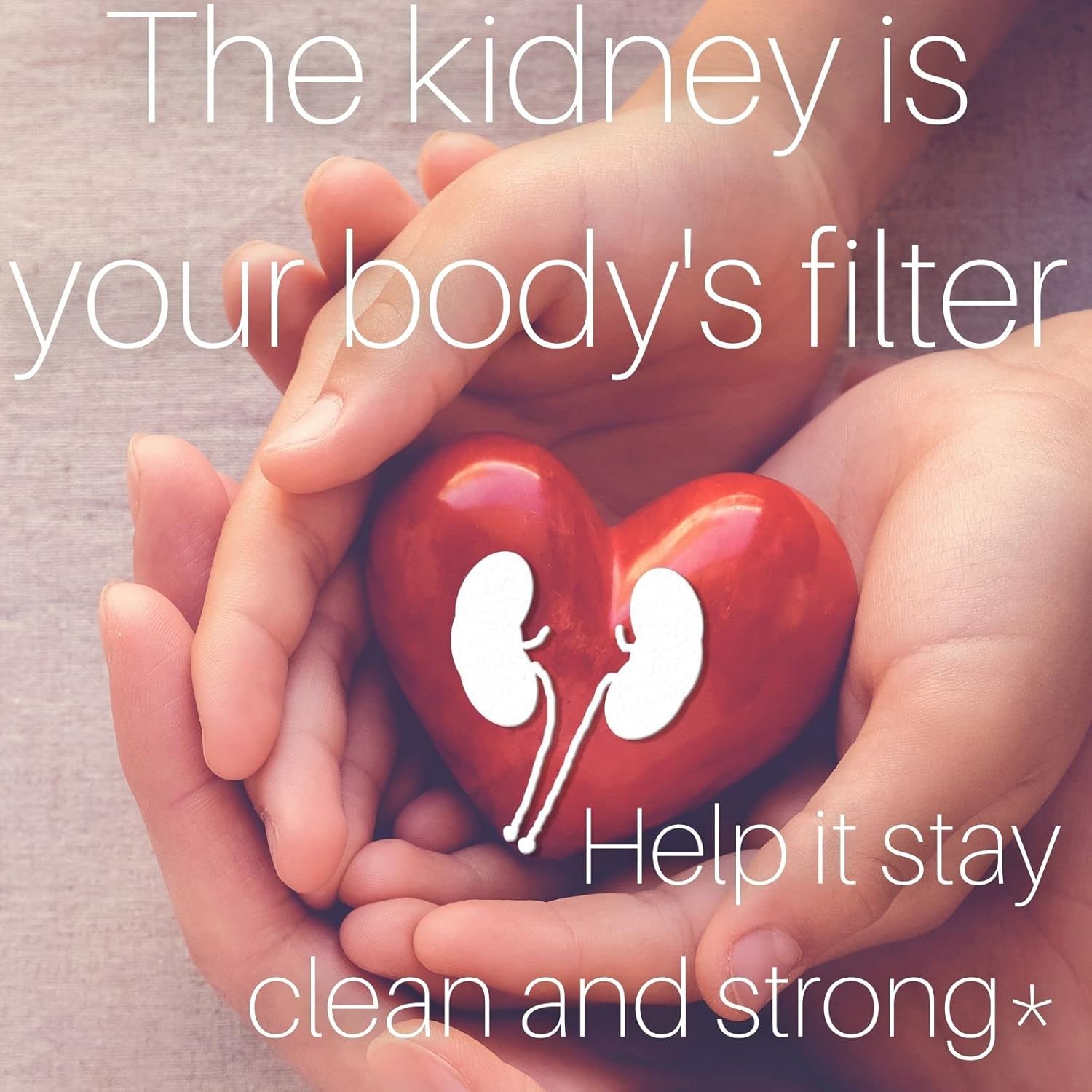 Organic Herbal Supplement for Kidney and Bladder Health - Supports Urinary Tract Cleansing with Marshmallow, Dandelion, and More