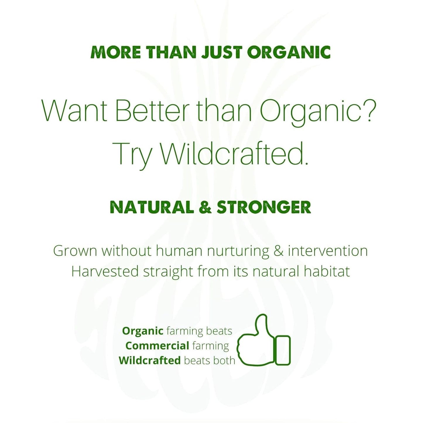 Organic Herbal Supplement for Kidney and Bladder Health - Supports Urinary Tract Cleansing with Marshmallow, Dandelion, and More