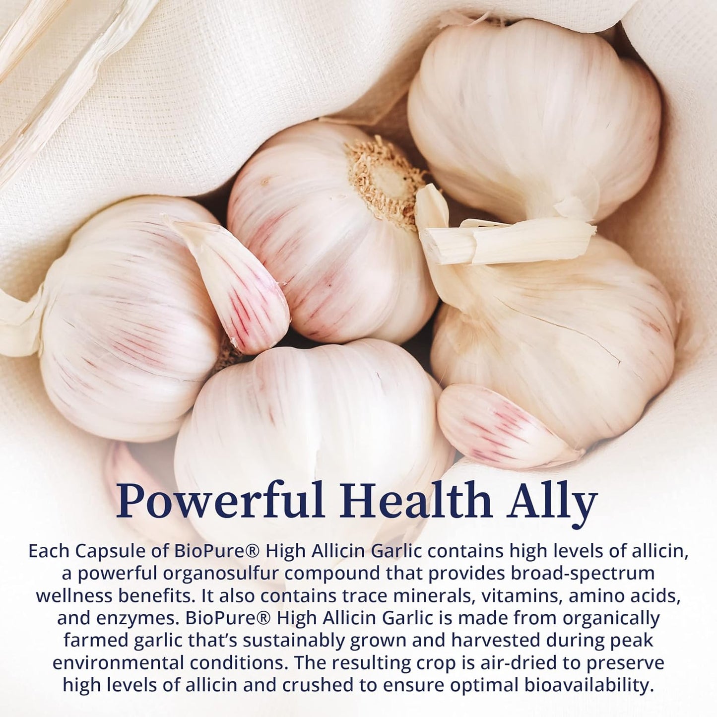 Organic High Allicin Garlic Supplement for Immune Support, Detox, Gut Health - 60 Capsules with Trace Minerals, Vitamins, Amino Acids, Enzymes - BioPure Formula for Overall Wellness