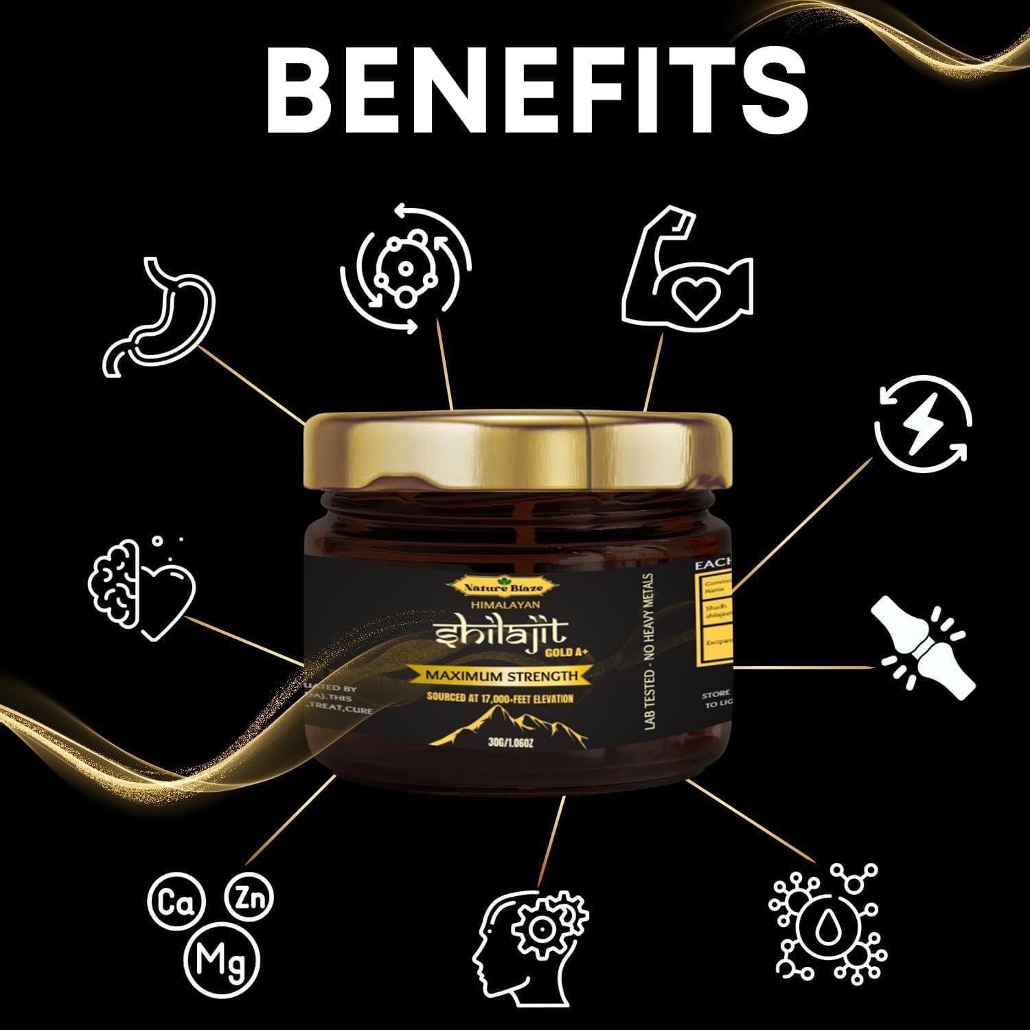 Organic Himalayan Shilajit Resin Energy Boost & Immune Support for Men and Women - 30Gm/1.0 Ounce