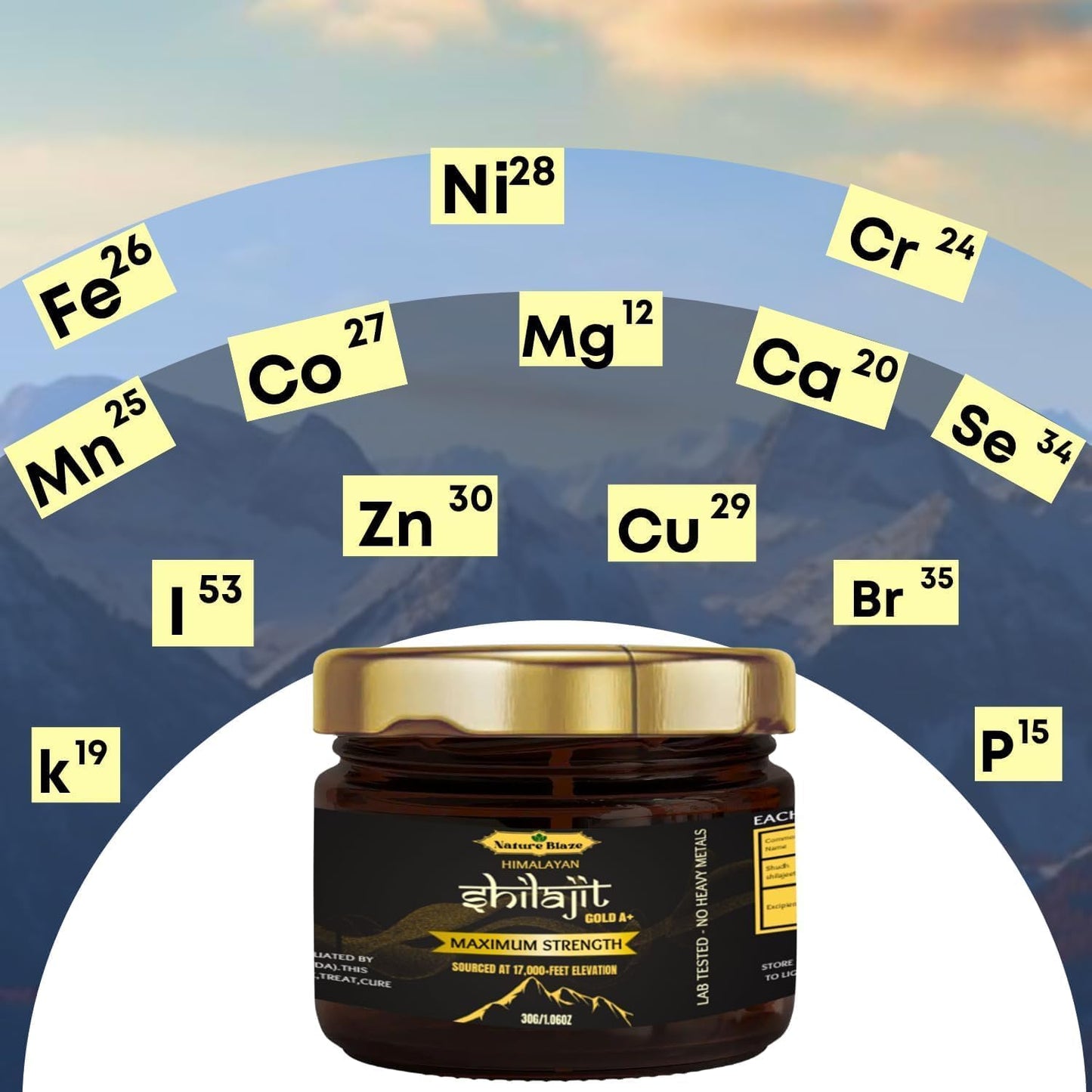 Organic Himalayan Shilajit Resin Energy Boost & Immune Support for Men and Women - 30Gm/1.0 Ounce