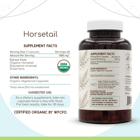 Organic Horsetail Capsules - 120 Count | USDA Certified Herbal Supplement | Vegetarian Capsules with Organic Equisetum arvense