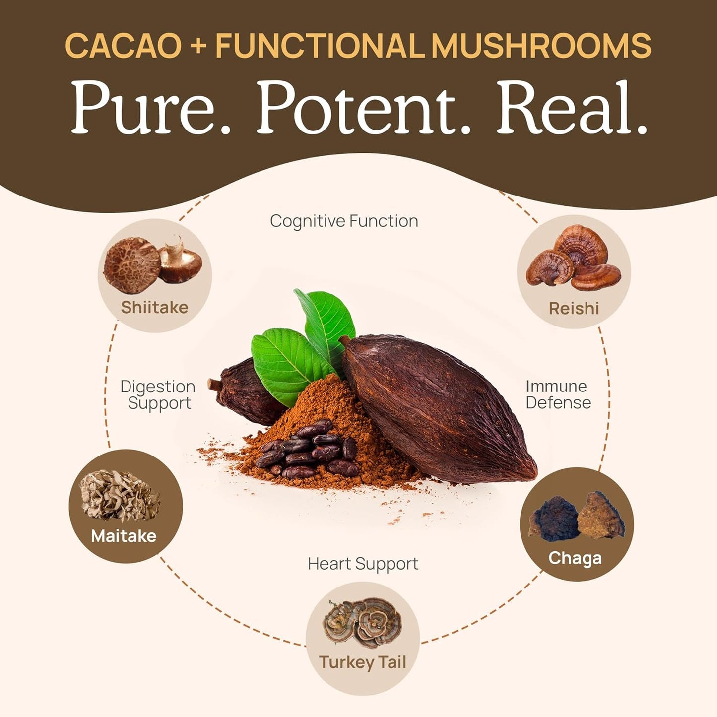 Organic Hot Chocolate Mix with 5 Mushroom Defenders - Vegan Cacao Powder Supplement