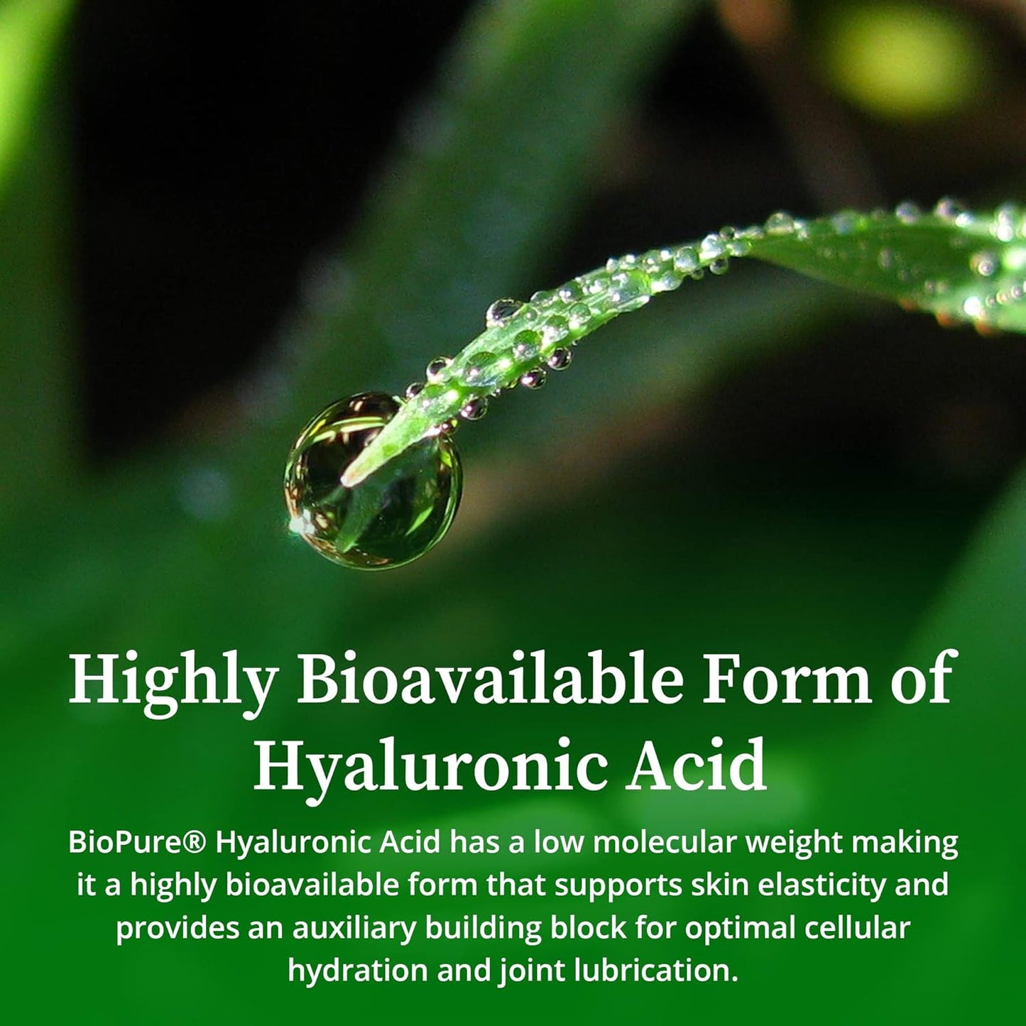 Organic Hyaluronic Acid Liquid Solution - Natural & Bioavailable Formula for Joint Health & Skin Hydration - 4 fl oz