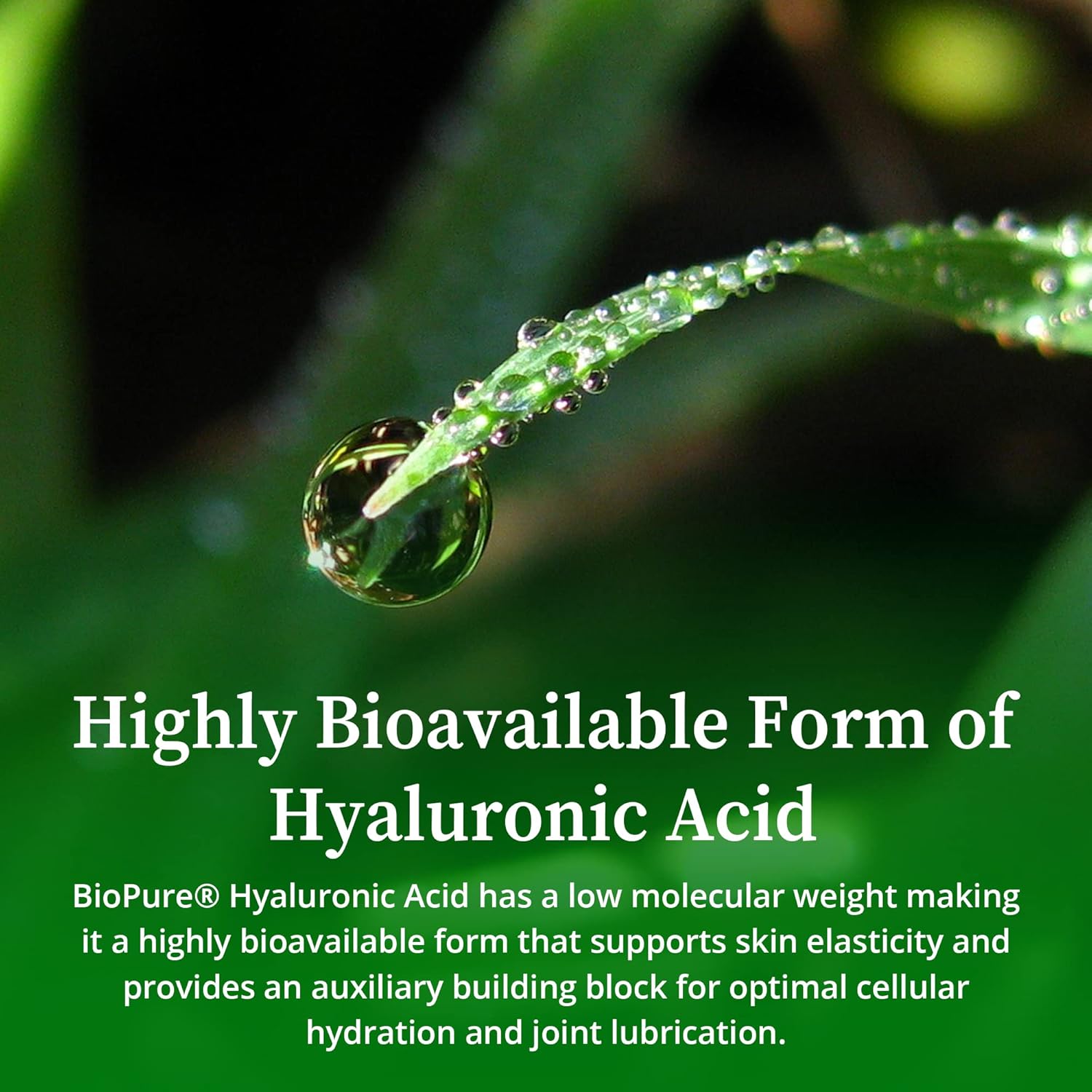 Organic Hyaluronic Acid Liquid Solution - Natural & Bioavailable Formula for Joint Health & Skin Hydration - 4 fl oz