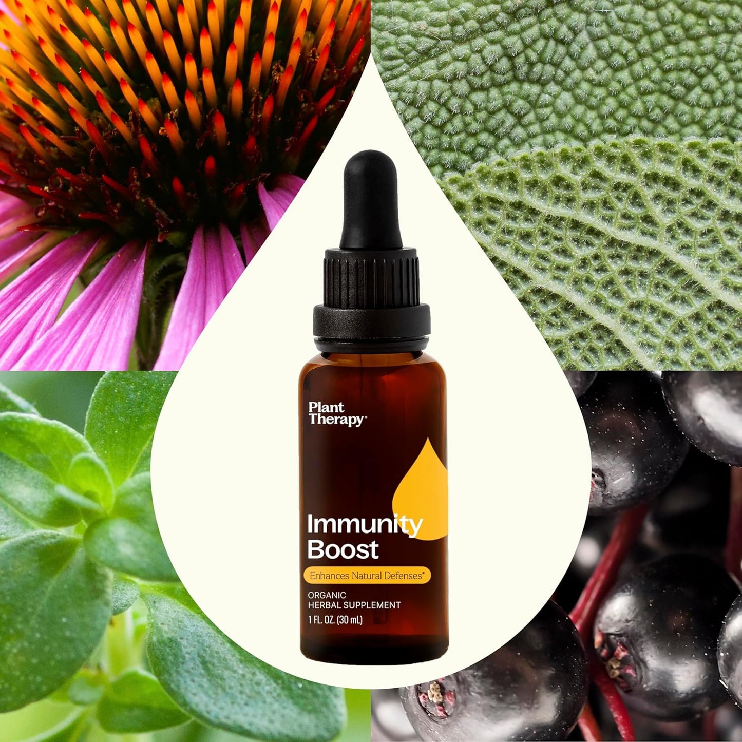 Organic Immunity Boost Tincture with Echinacea, Elderberry & Lemon Balm Extract - 30mL - Supports Healthy Immune System - Natural Defense against Seasonal Threats