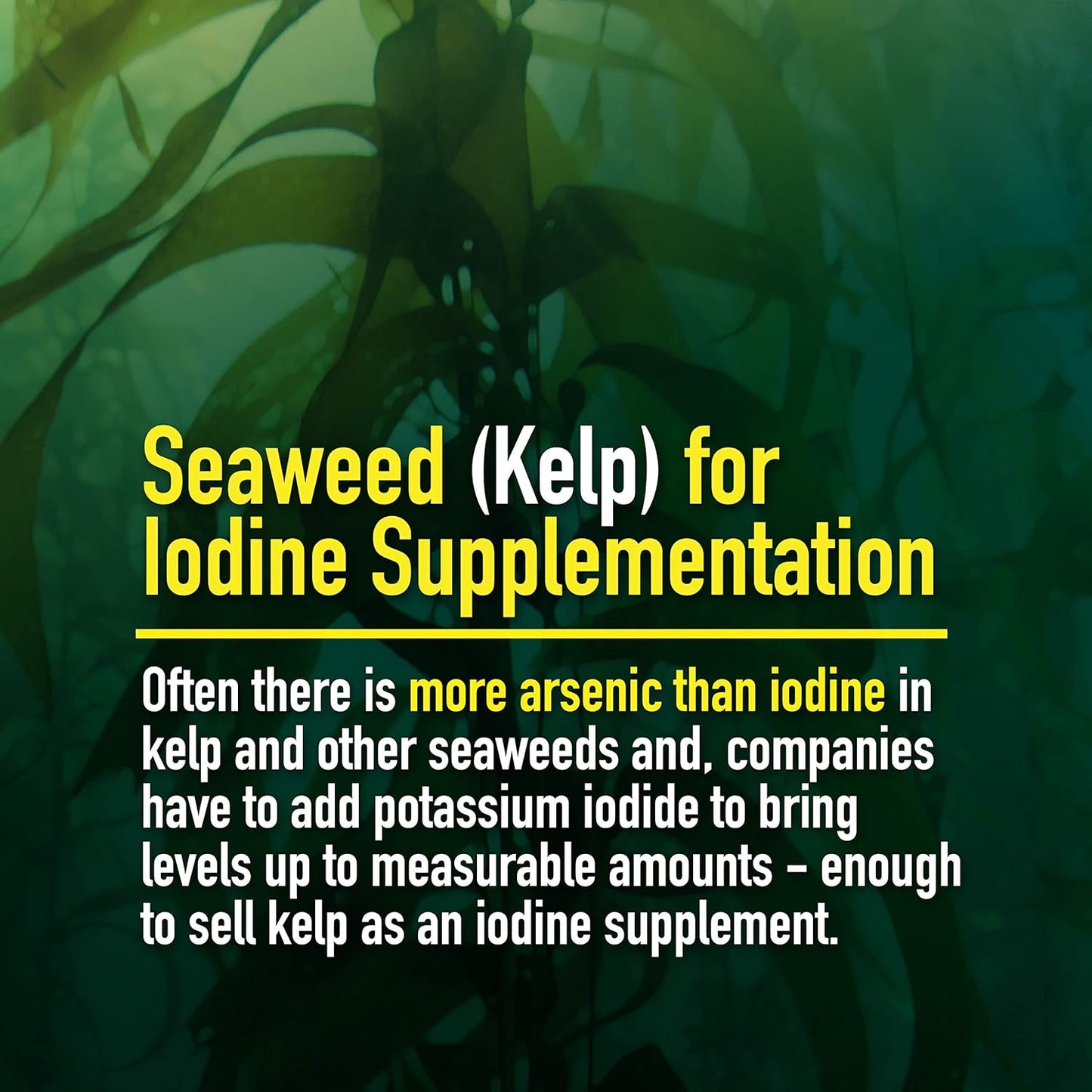 Organic Iodine Amino Acid Chelate Supplement - 500 Vegan Caps - Gluten Free - Small Capsules
