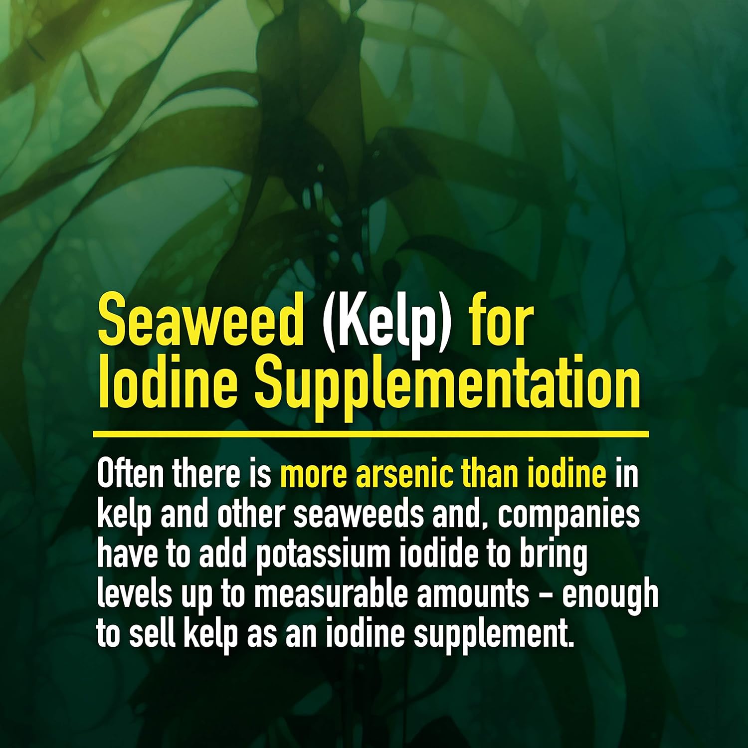 Organic Iodine Amino Acid Chelate Supplement - 500 Vegan Caps - Gluten Free - Small Capsules